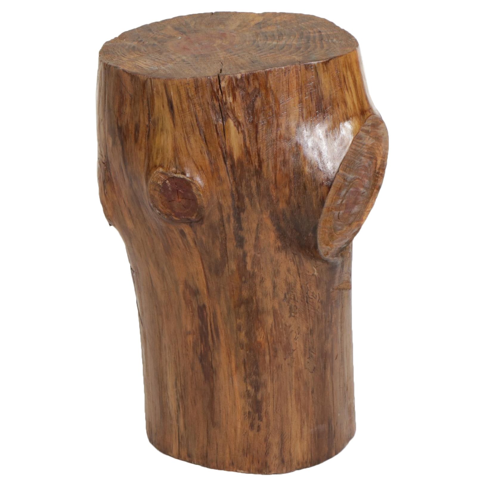 Wood Stump Plant Stand