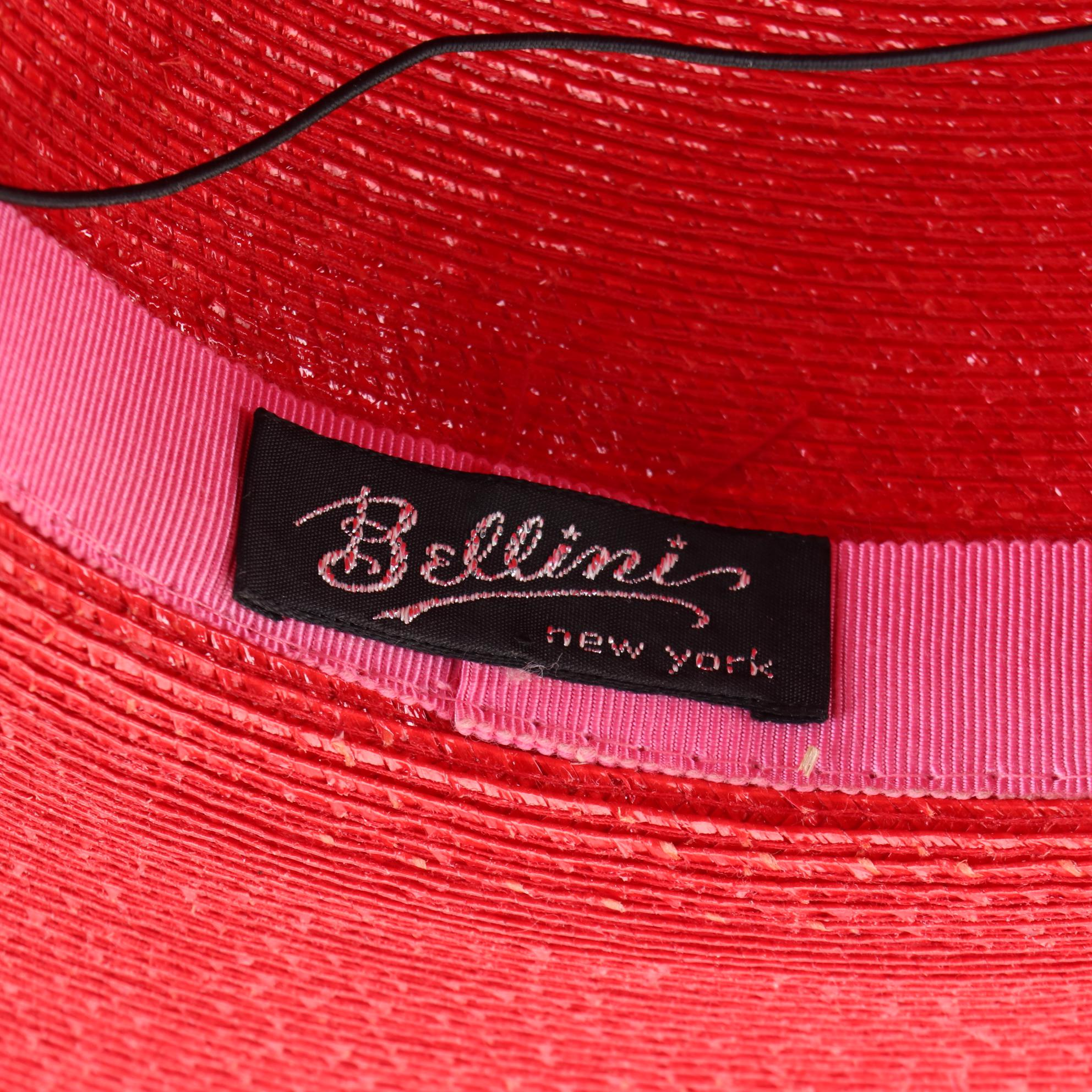 Jack McConnell Boutique Tulle Hat and Bellini Wide Brim Hat with Box