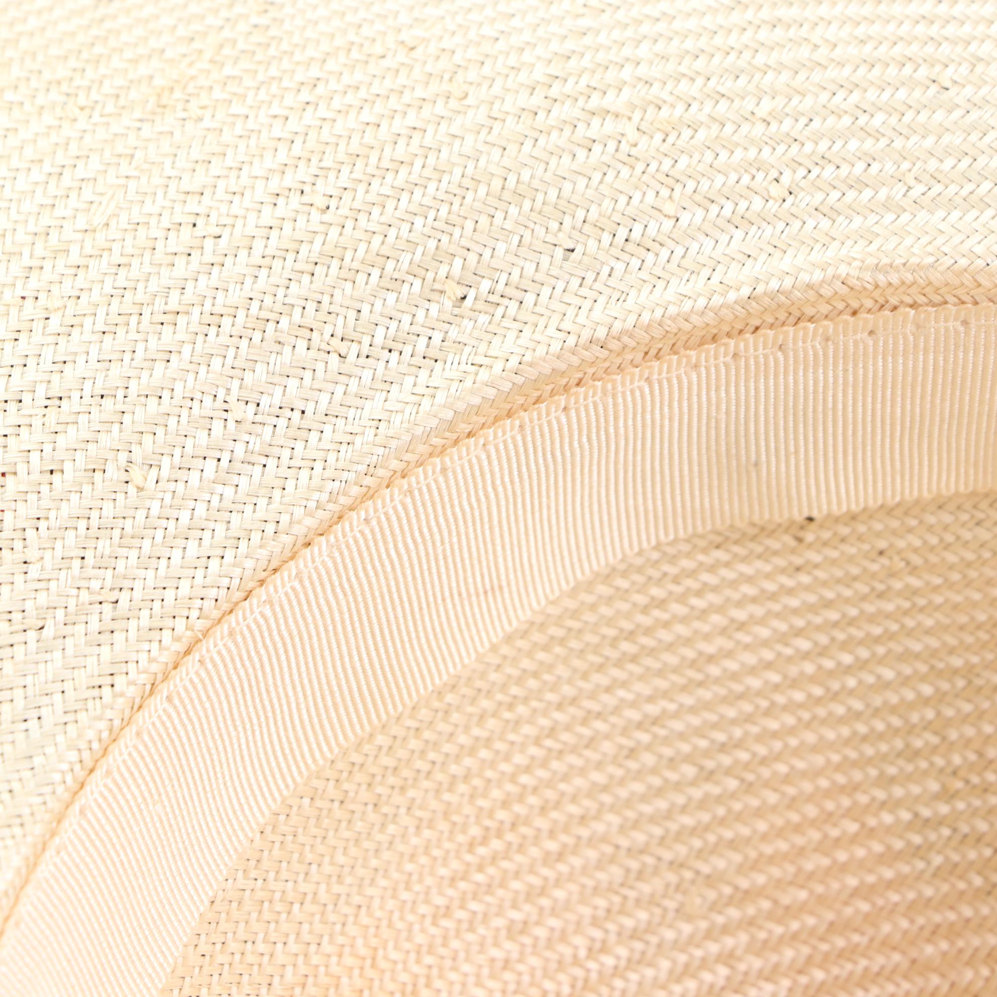 Jack McConnell Boutique Tulle Hat and Bellini Wide Brim Hat with Box