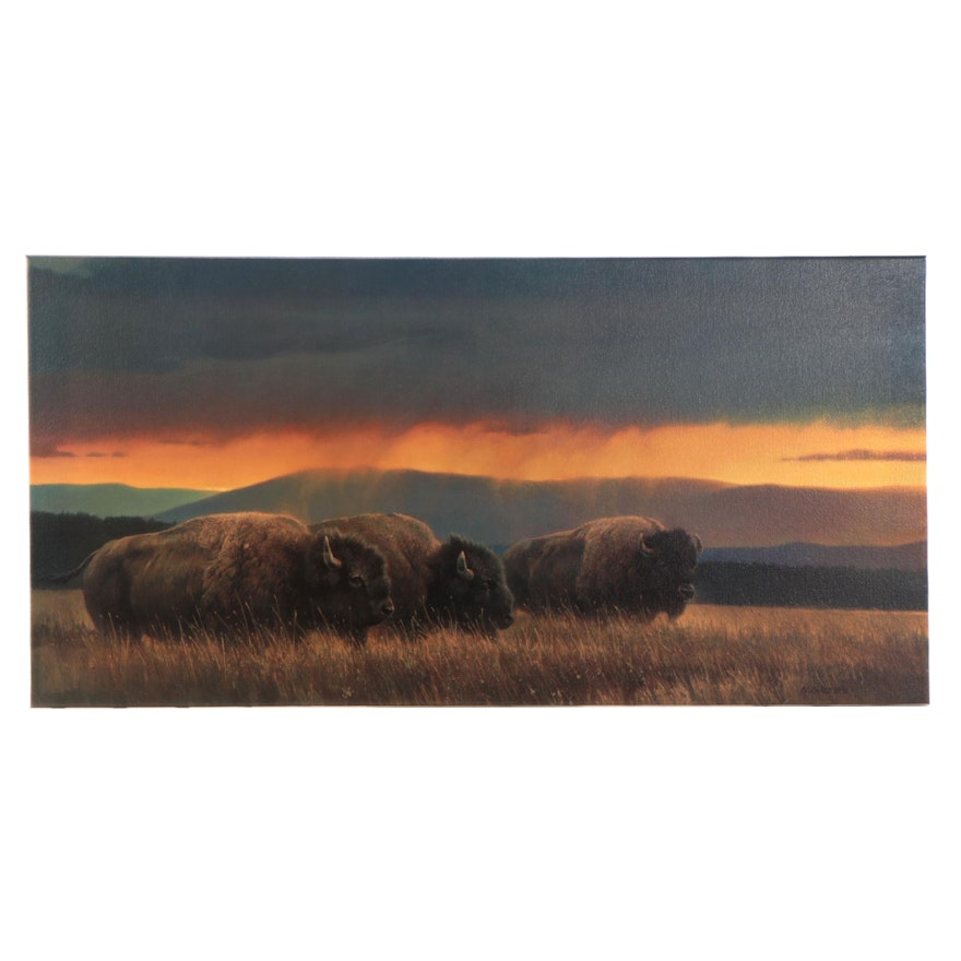 Landscape Offset Lithograph After Nancy Glazier "Western Skies"