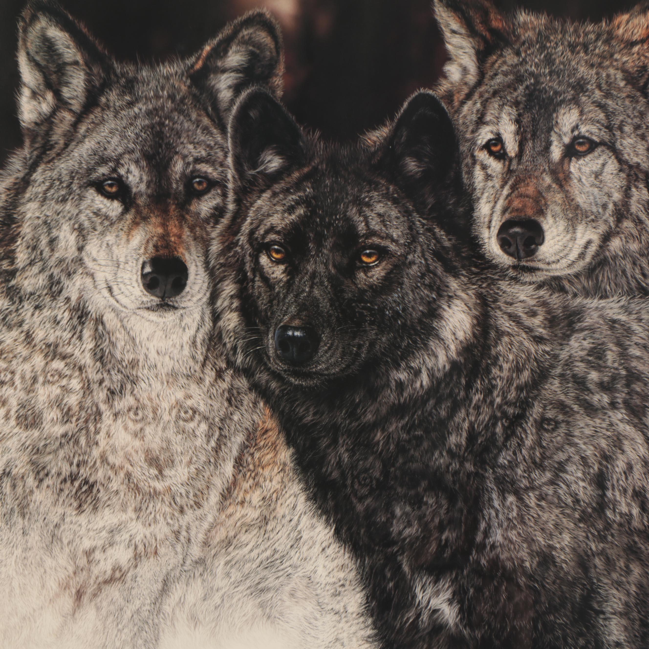 Judy Larson Offset Lithograph "Silent Spring," Late 20th Century