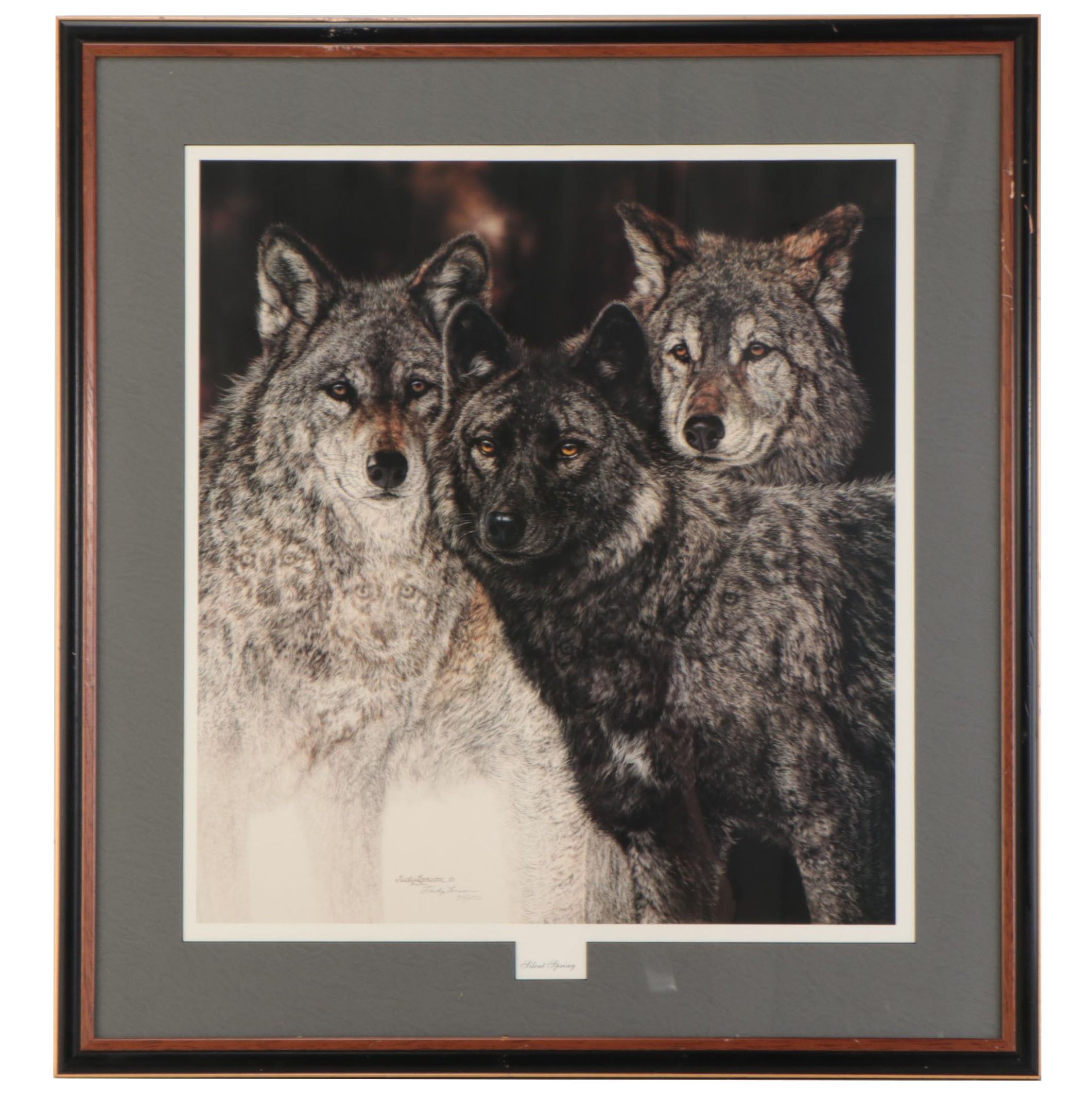 Judy Larson Offset Lithograph "Silent Spring," Late 20th Century