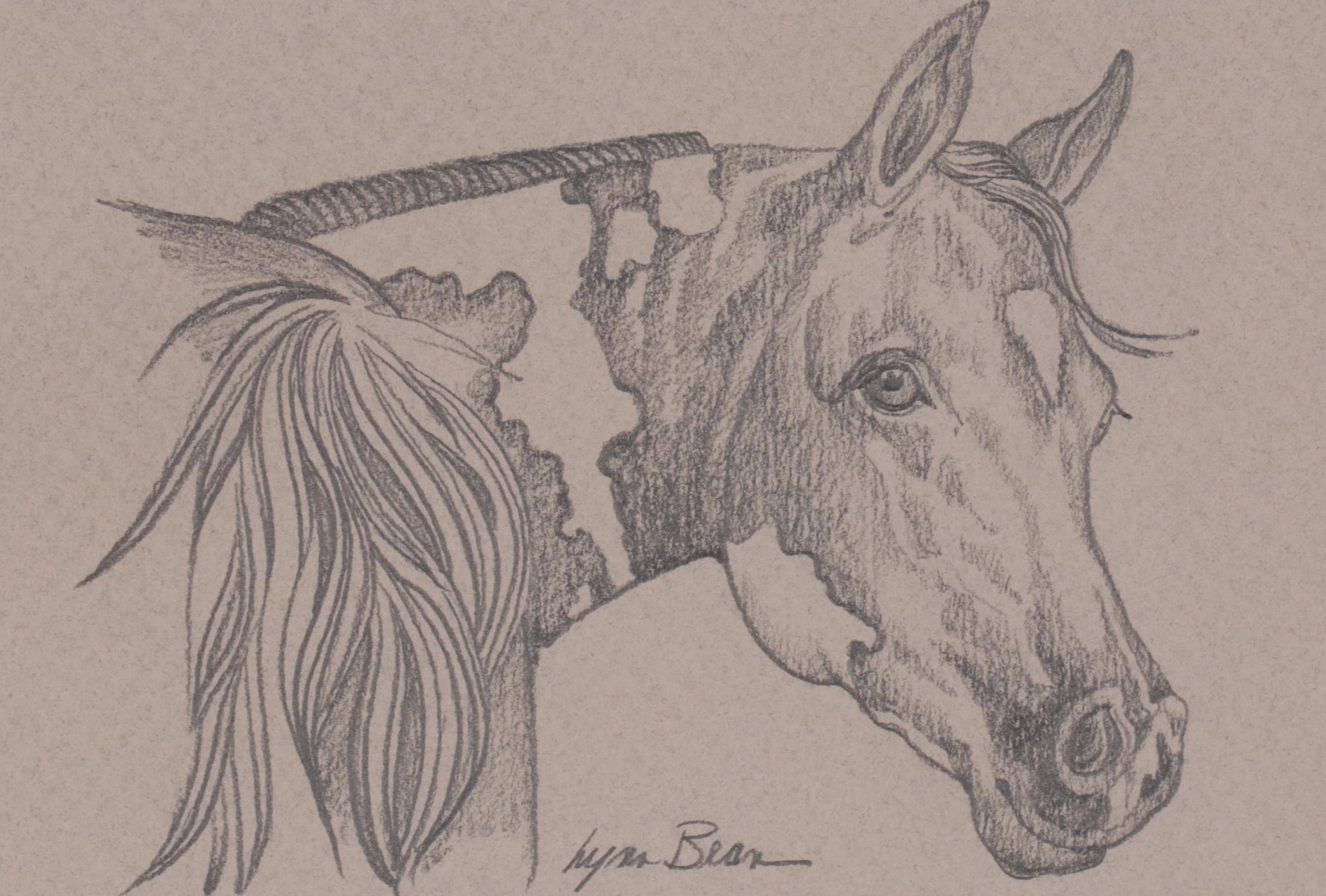 Lynn Bean Native American-Themed Digital Prints