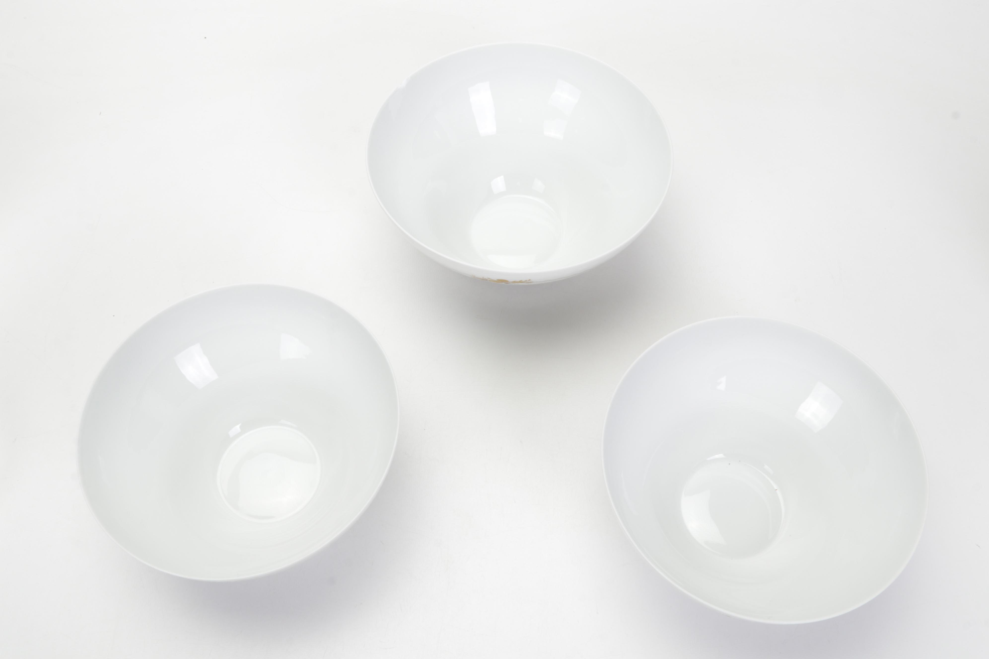 Rosenthal "Medley-Romance" Porcelain Dinnerware