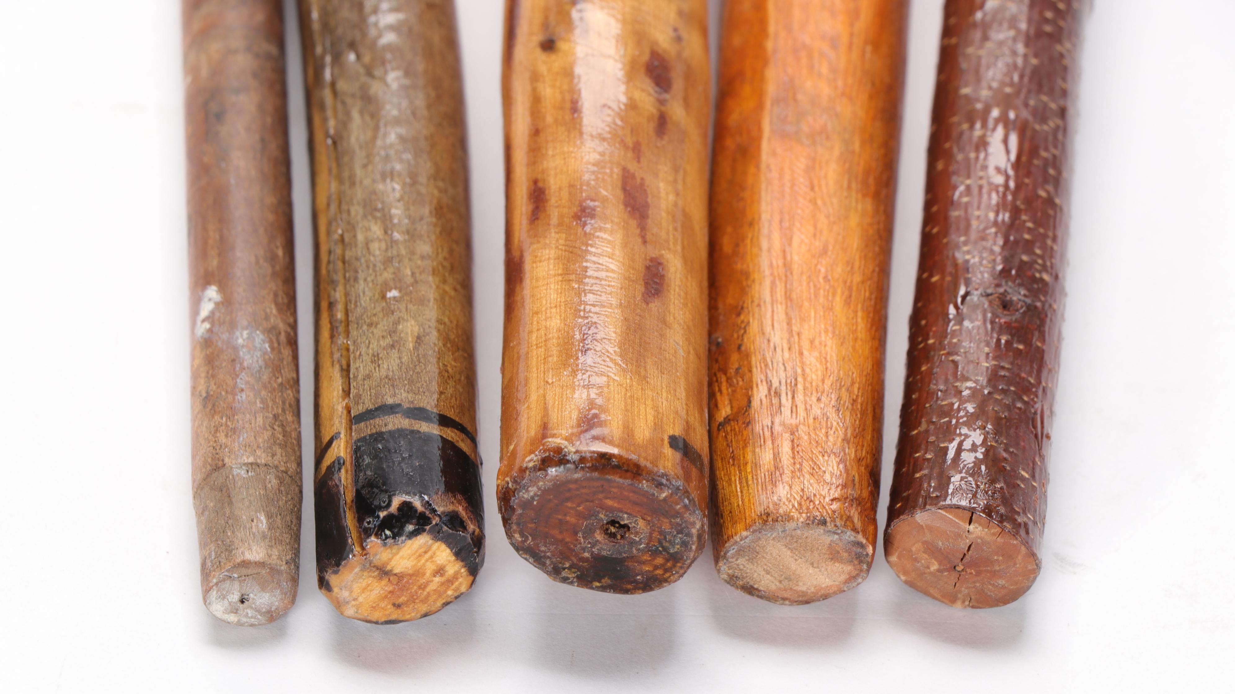 Carved Wooden Crook Handle and Knob Handle Canes and Walking Sticks