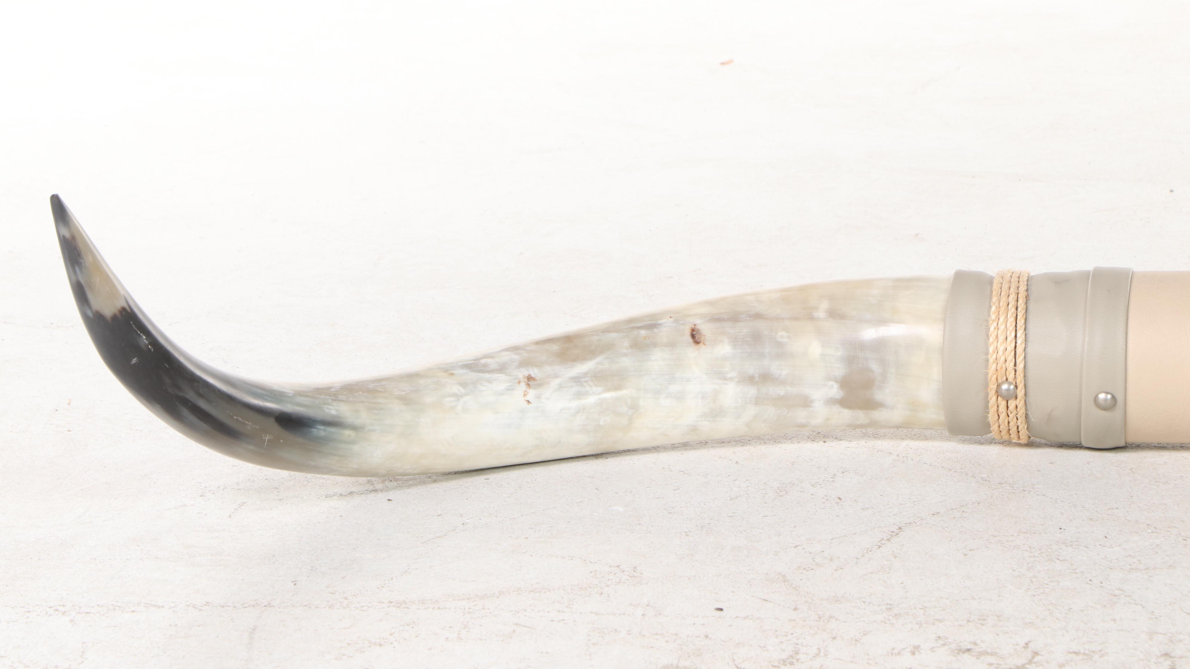 Hide Wrapped Mounted Longhorn Steer Horns