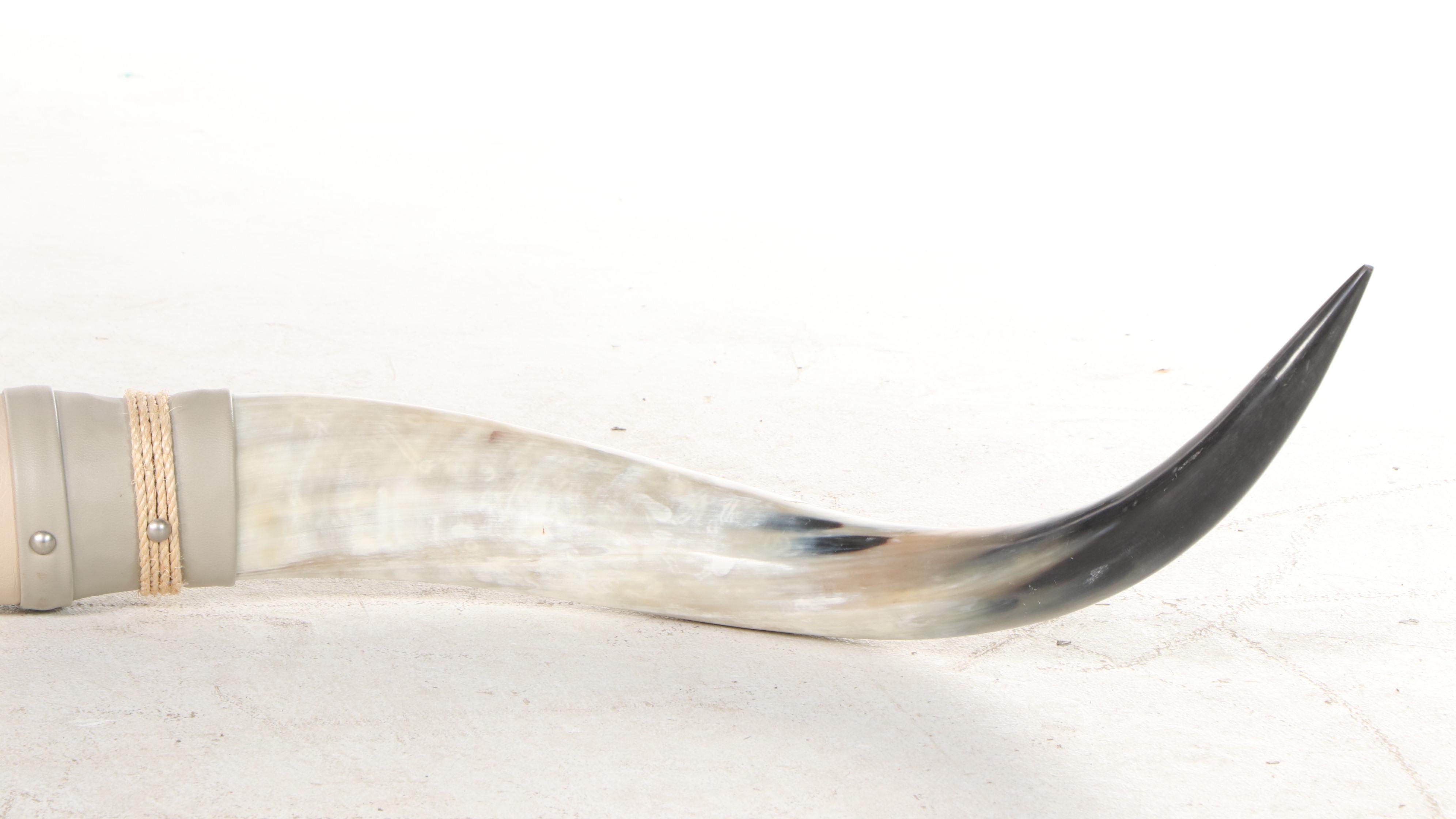 Hide Wrapped Mounted Longhorn Steer Horns