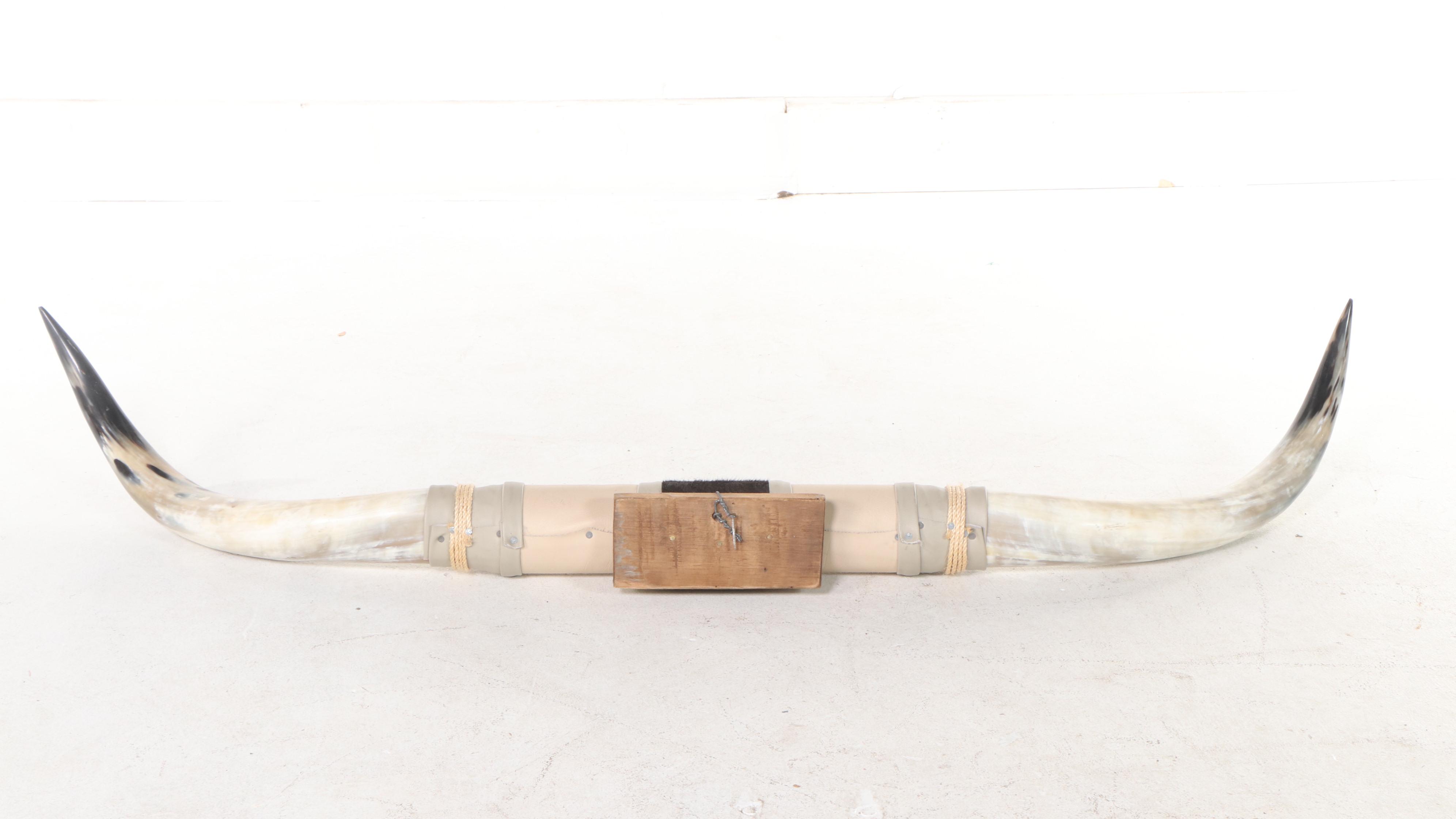 Hide Wrapped Mounted Longhorn Steer Horns