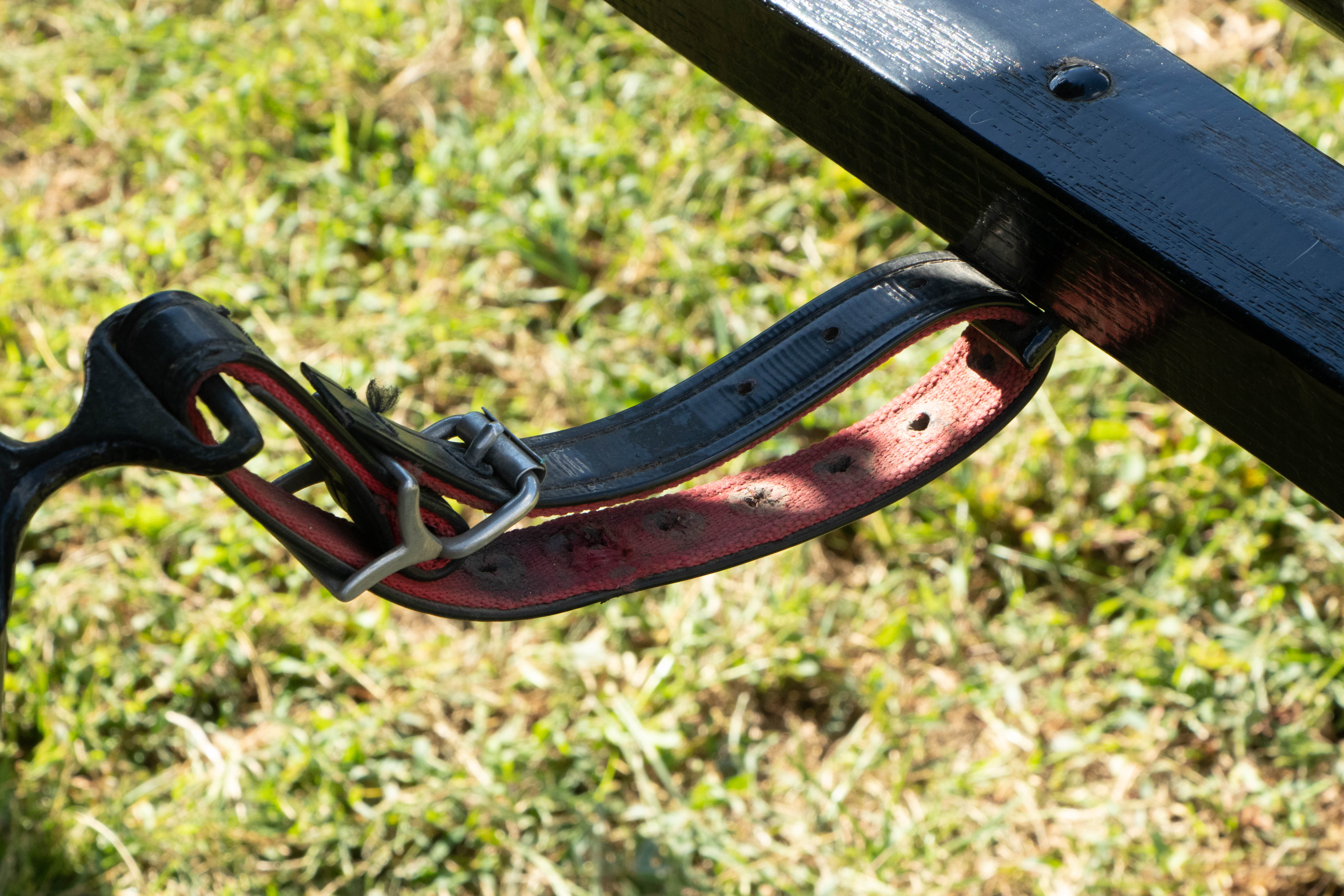 Restored George L. Brownell Victorian Horse-Drawn Hearse, Circa 1870