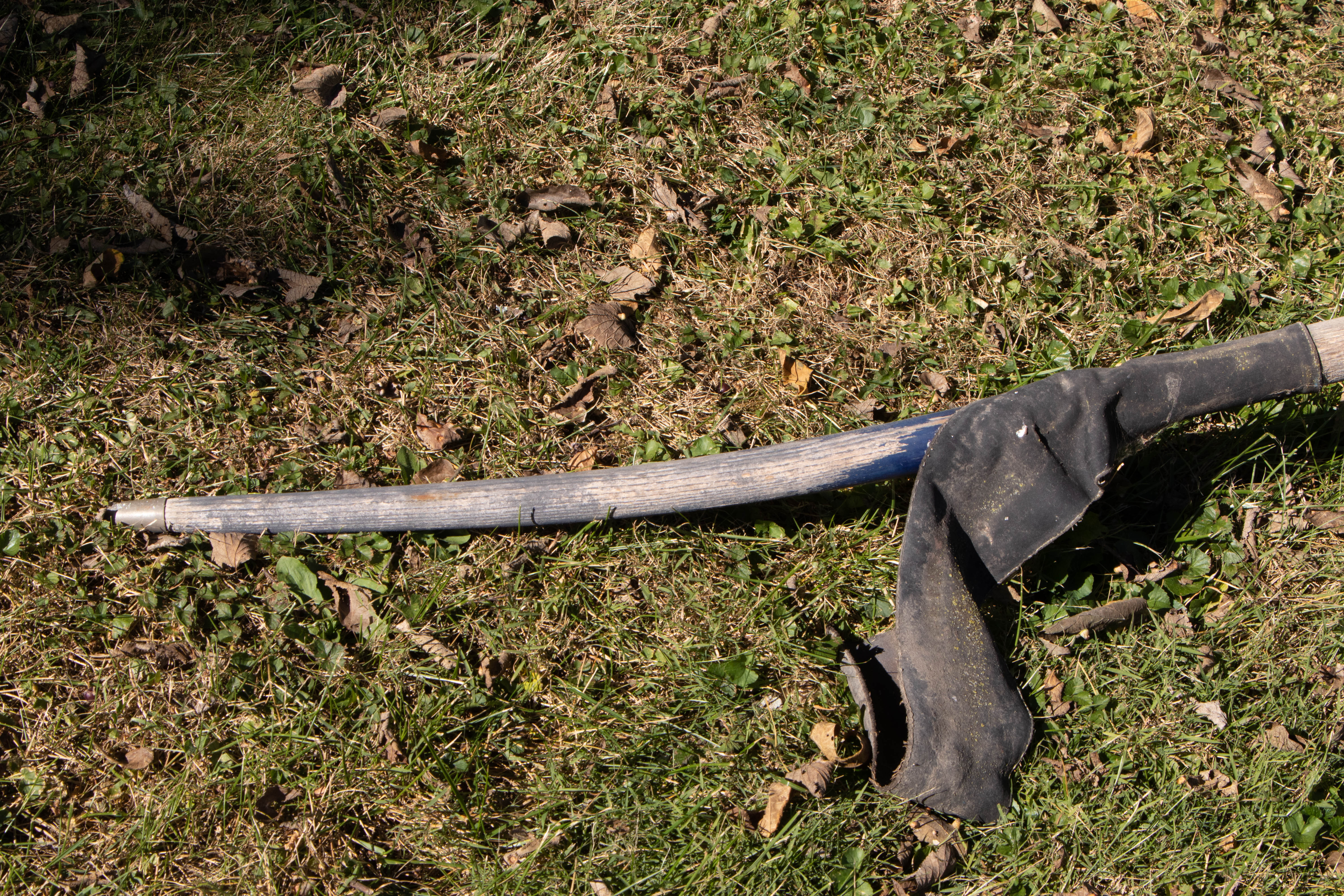 Houghton Sulky Co. Harness Racing Sulky, Early to Mid-20th Century