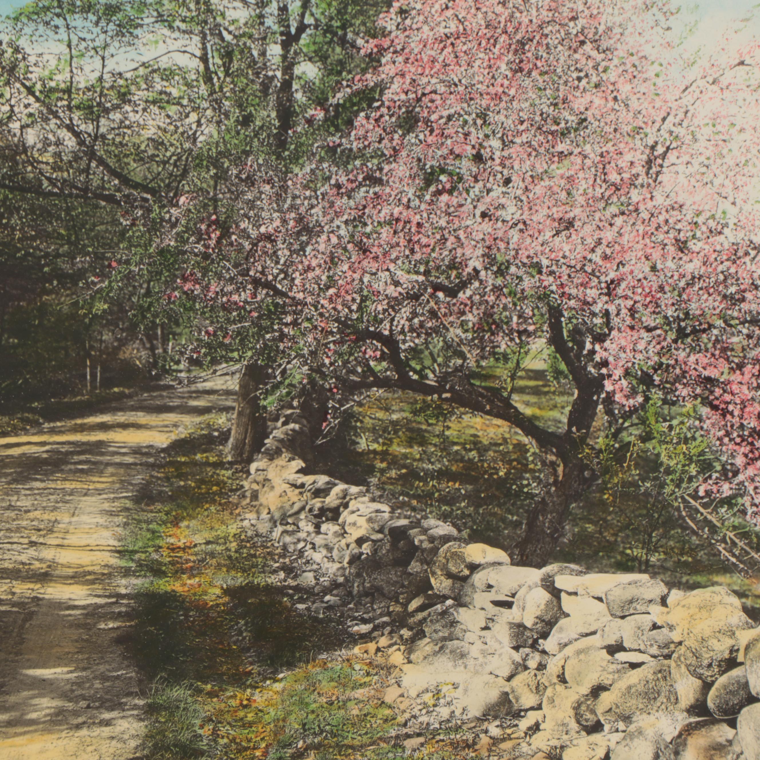 Wallace Nutting Hand-Colored Photograph "Honeymoon Stroll"