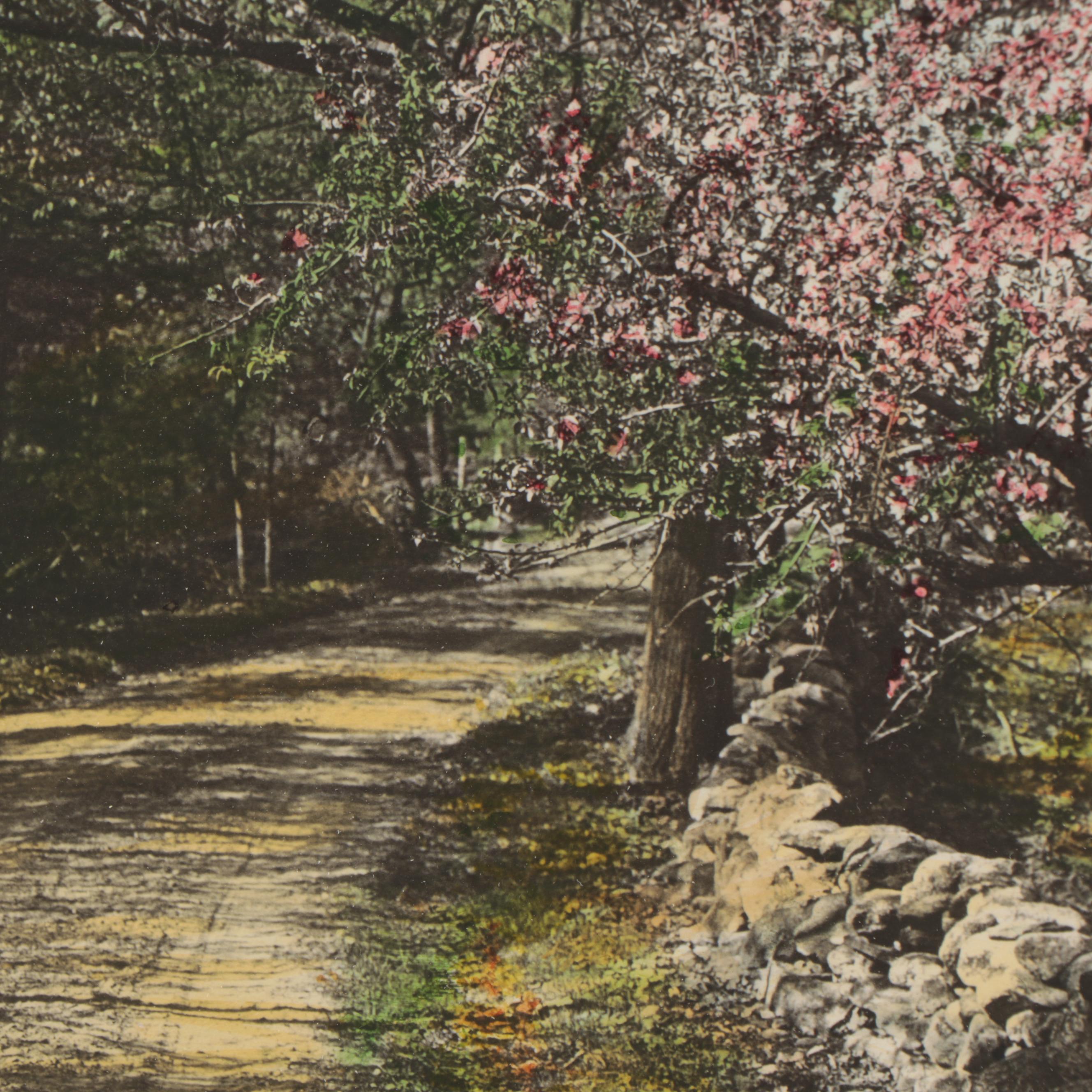 Wallace Nutting Hand-Colored Photograph "Honeymoon Stroll"