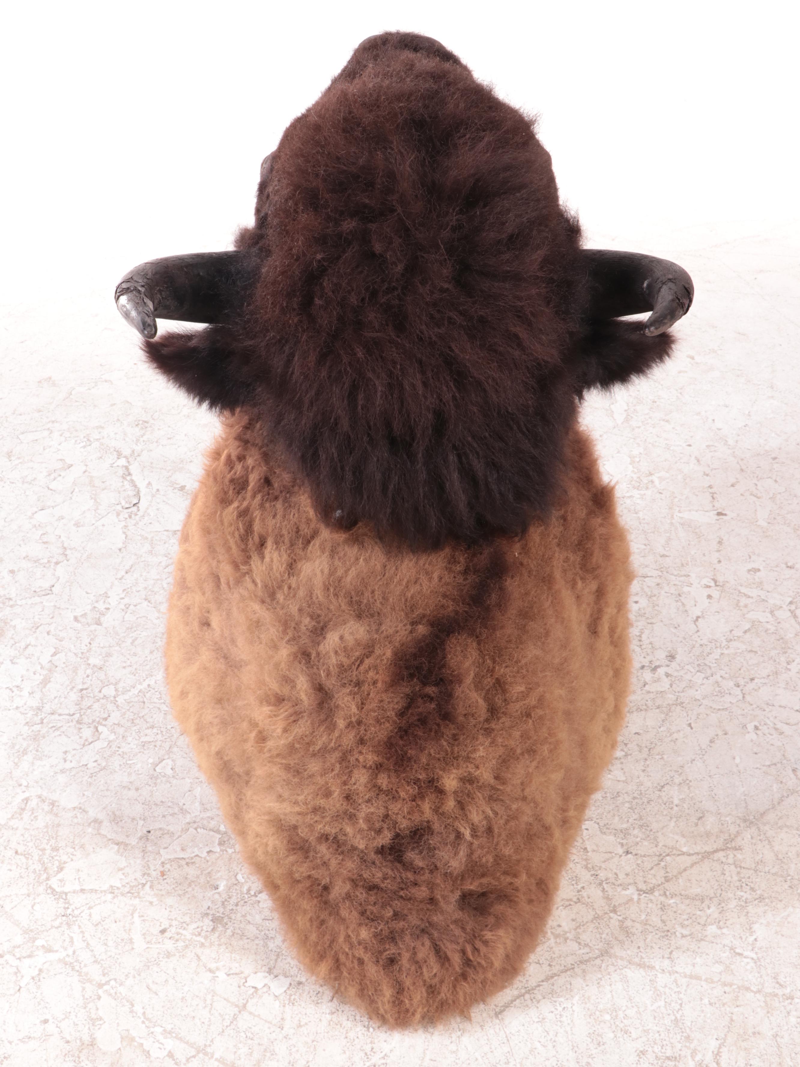 American Bison Taxidermy Shoulder Mount