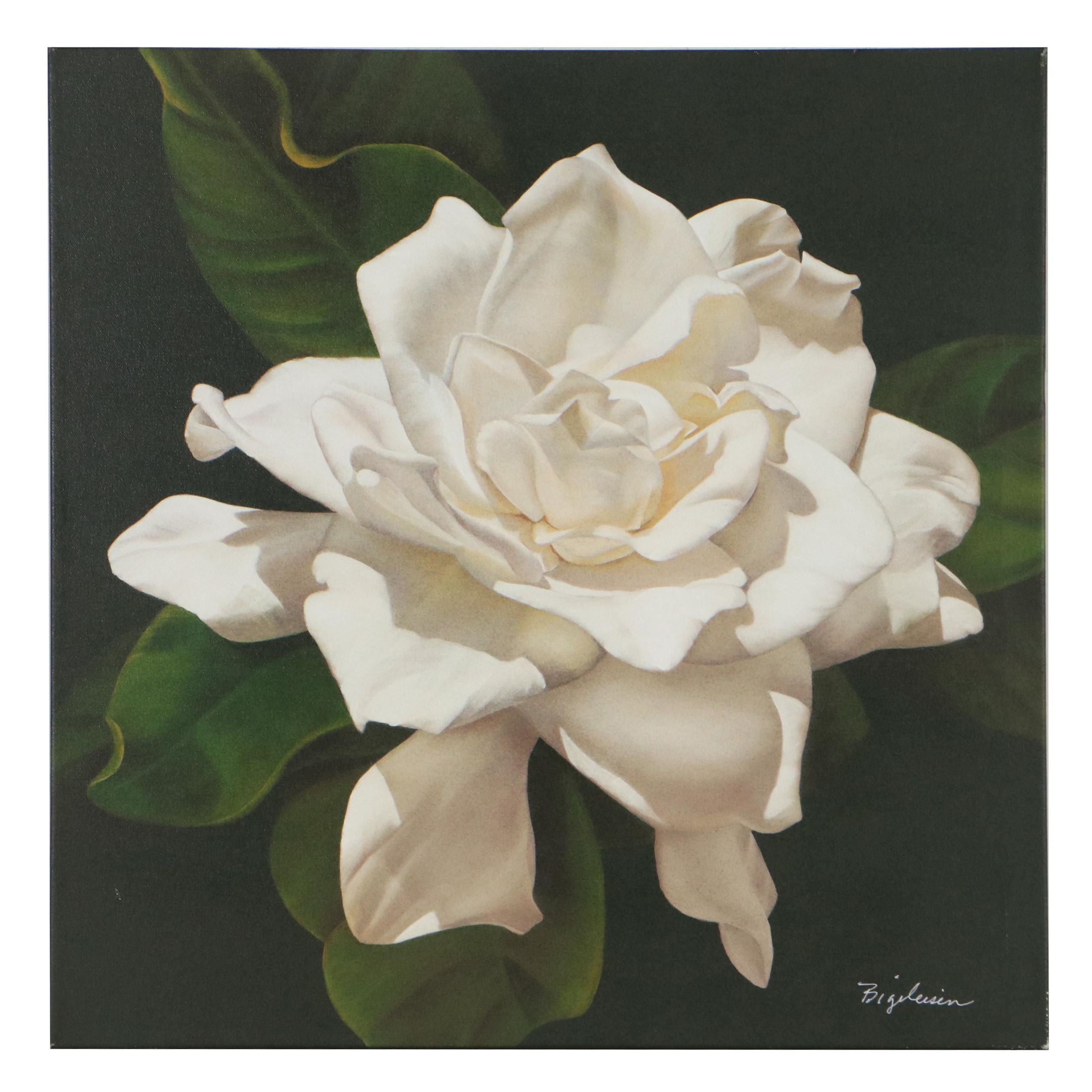 Deborah Bigeleisen Giclée "Swan 6," 21st Century