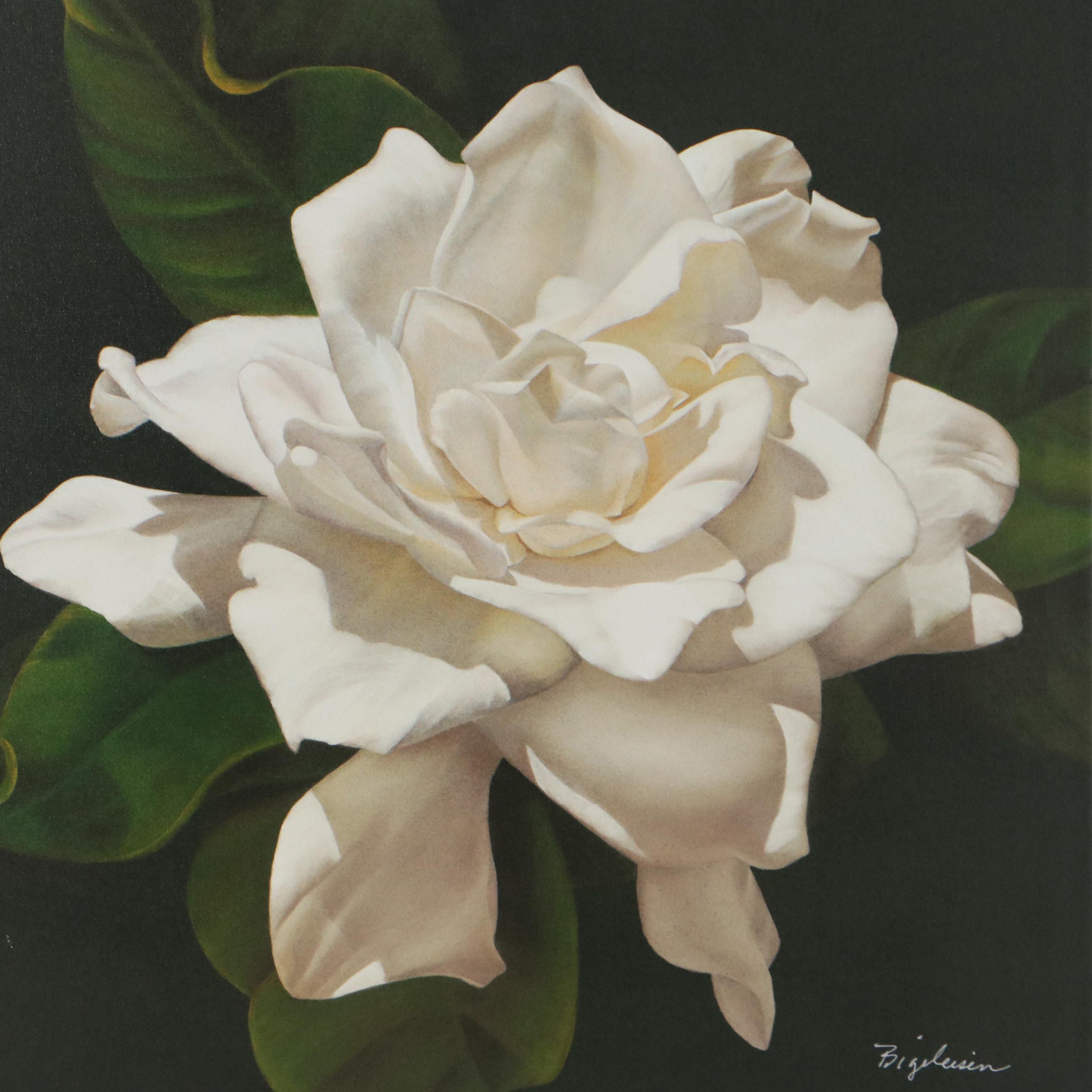 Deborah Bigeleisen Giclée "Swan 6," 21st Century