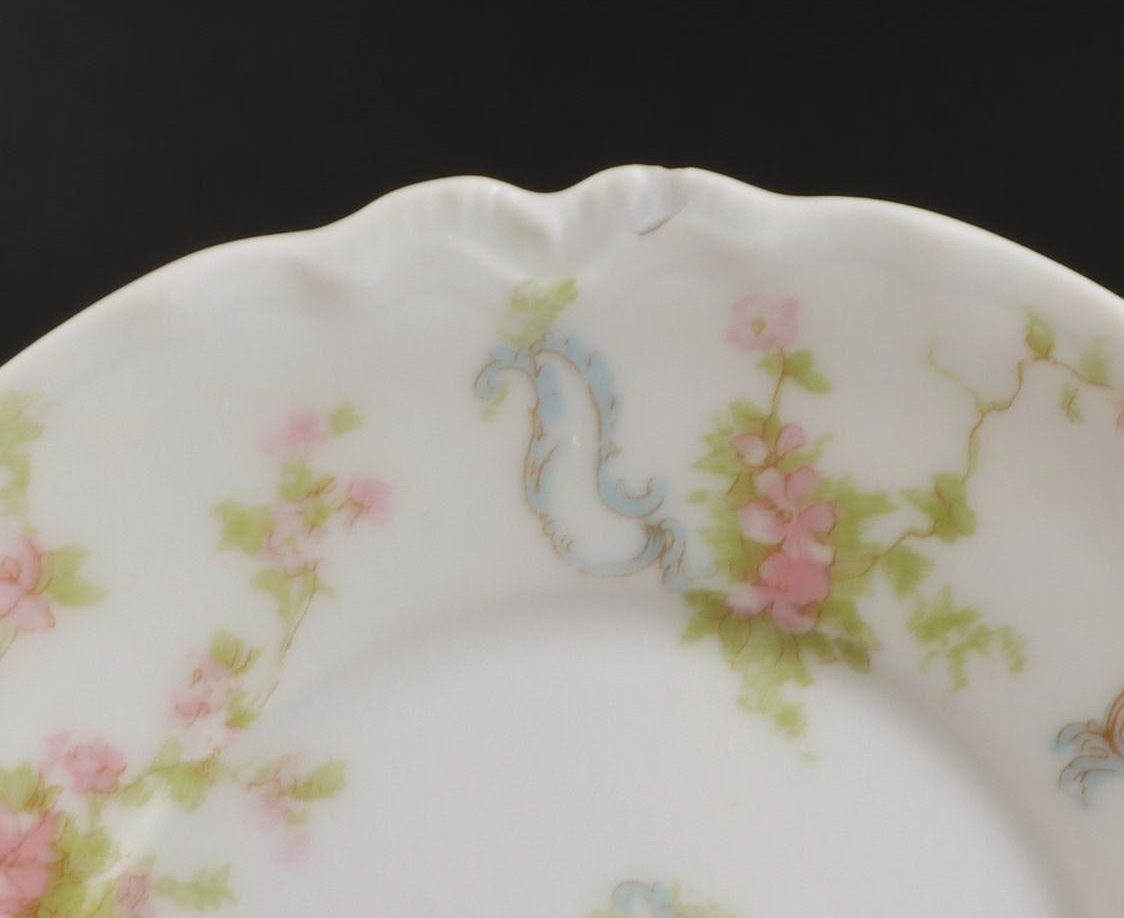 Haviland "The Princess" and Other Floral Motif Limoges Porcelain Dinnerware