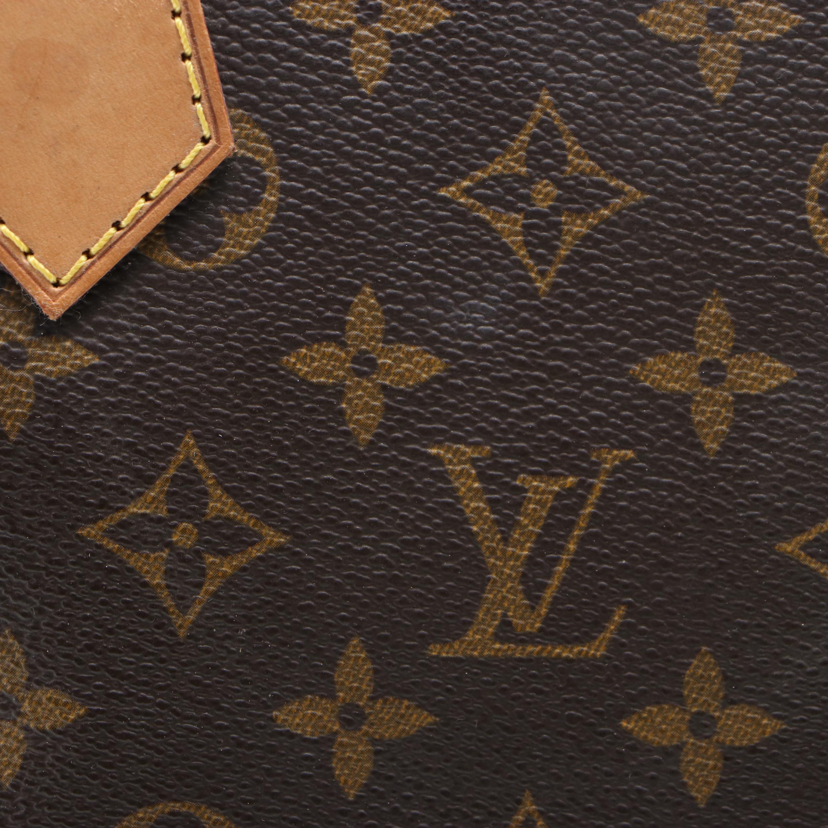 Louis Vuitton Alma PM in Monogram Canvas and Vachetta Leather
