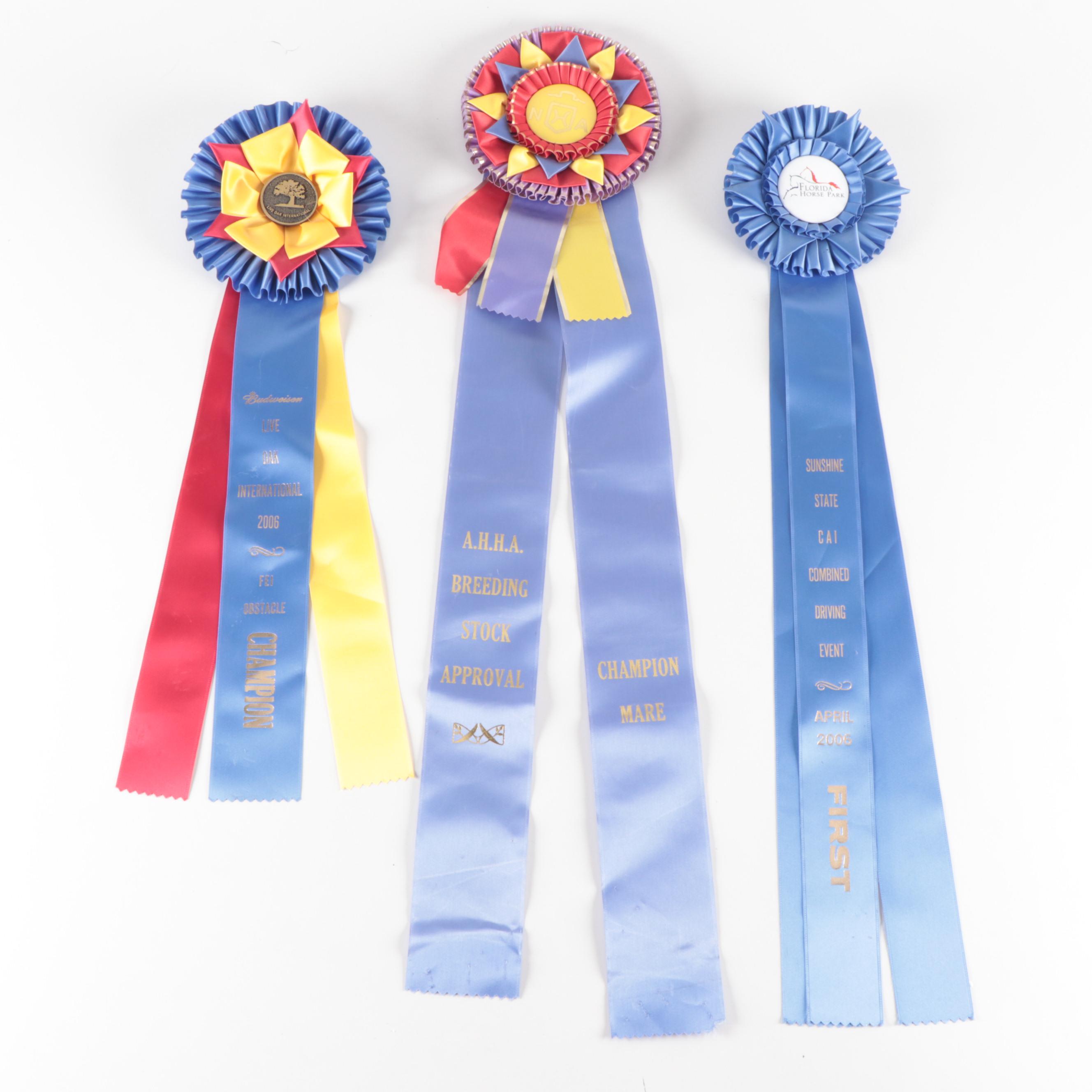 American Holsteiner Horse Association and Other Equestrian Prize Ribbons