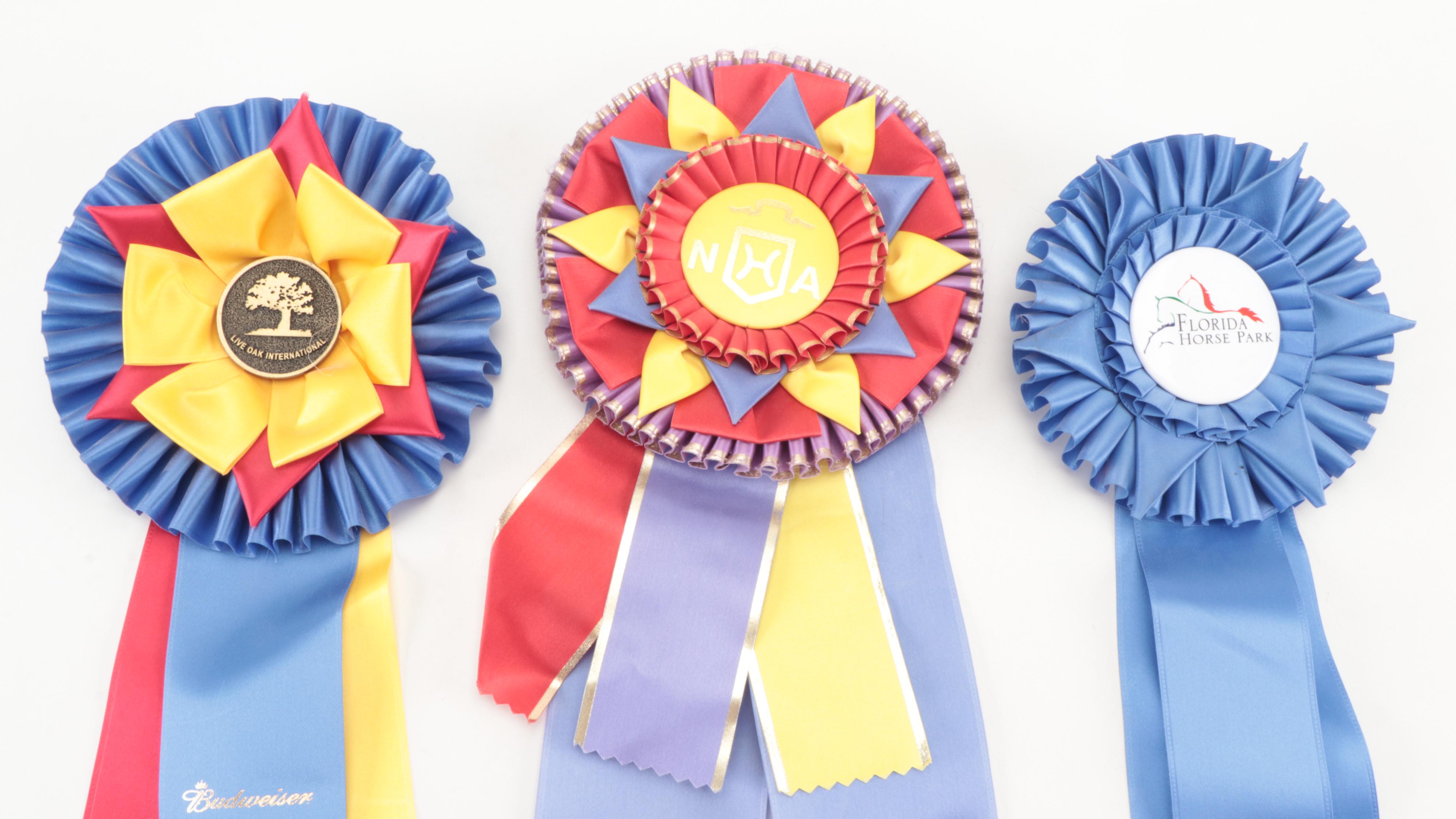 American Holsteiner Horse Association and Other Equestrian Prize Ribbons