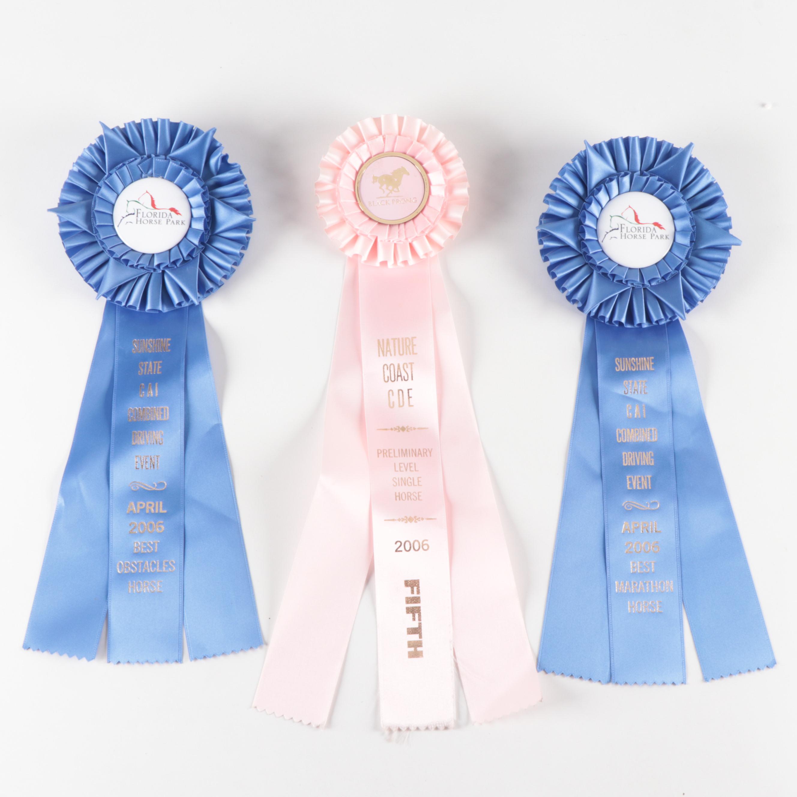 American Holsteiner Horse Association and Other Equestrian Prize Ribbons