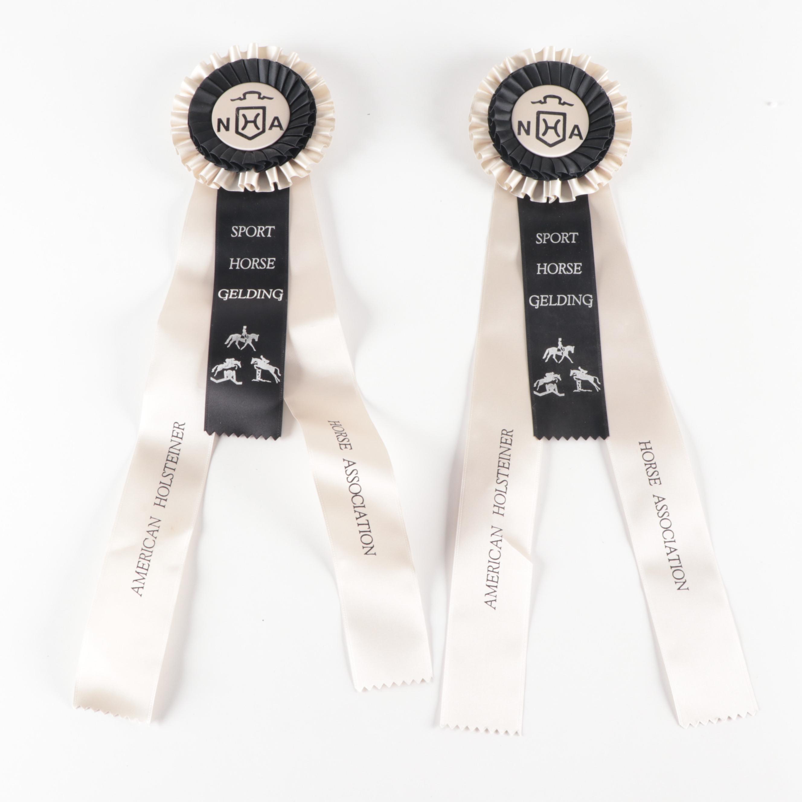 American Holsteiner Horse Association and Other Equestrian Prize Ribbons
