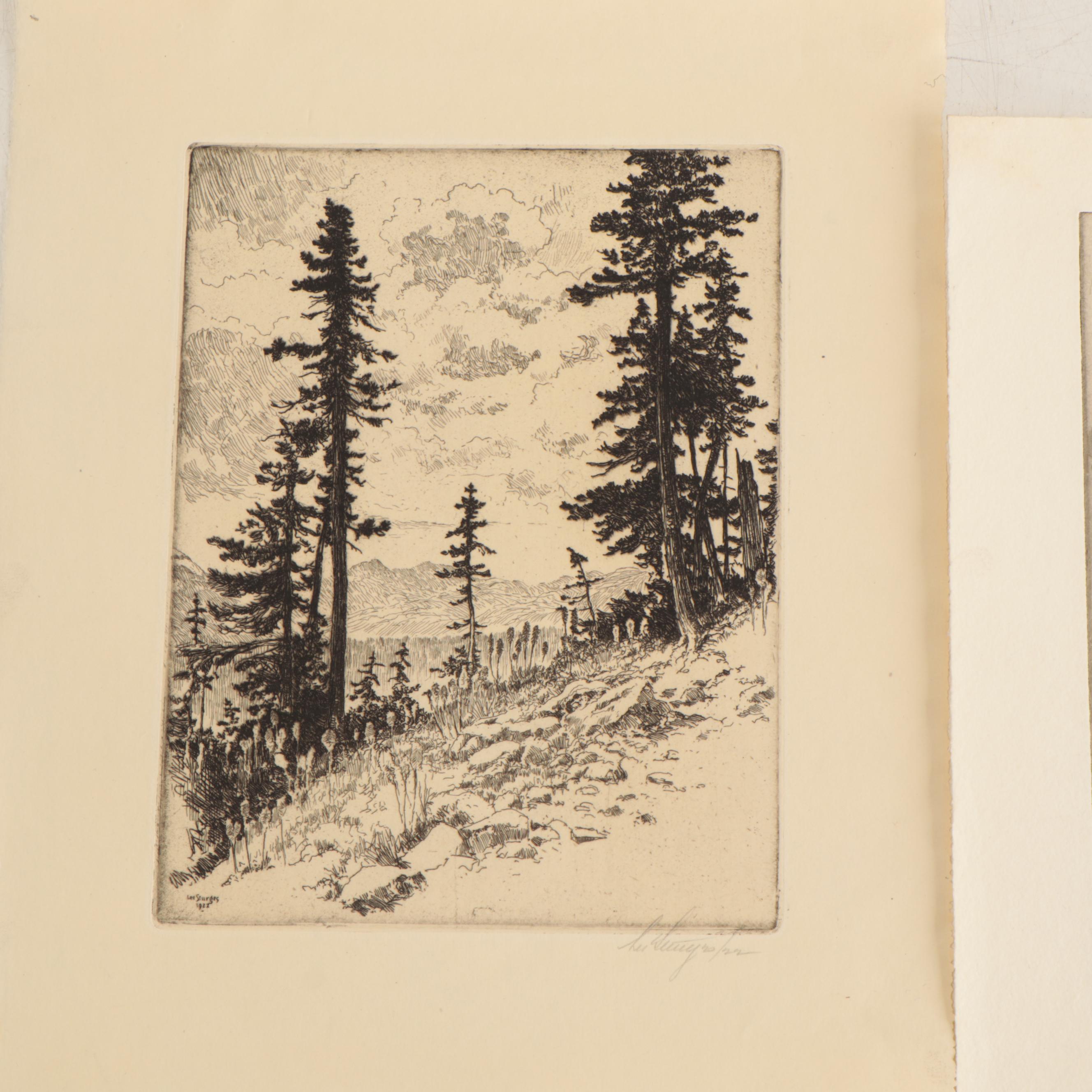 Lee Sturges Mountain Landscape Etchings, Circa 1920