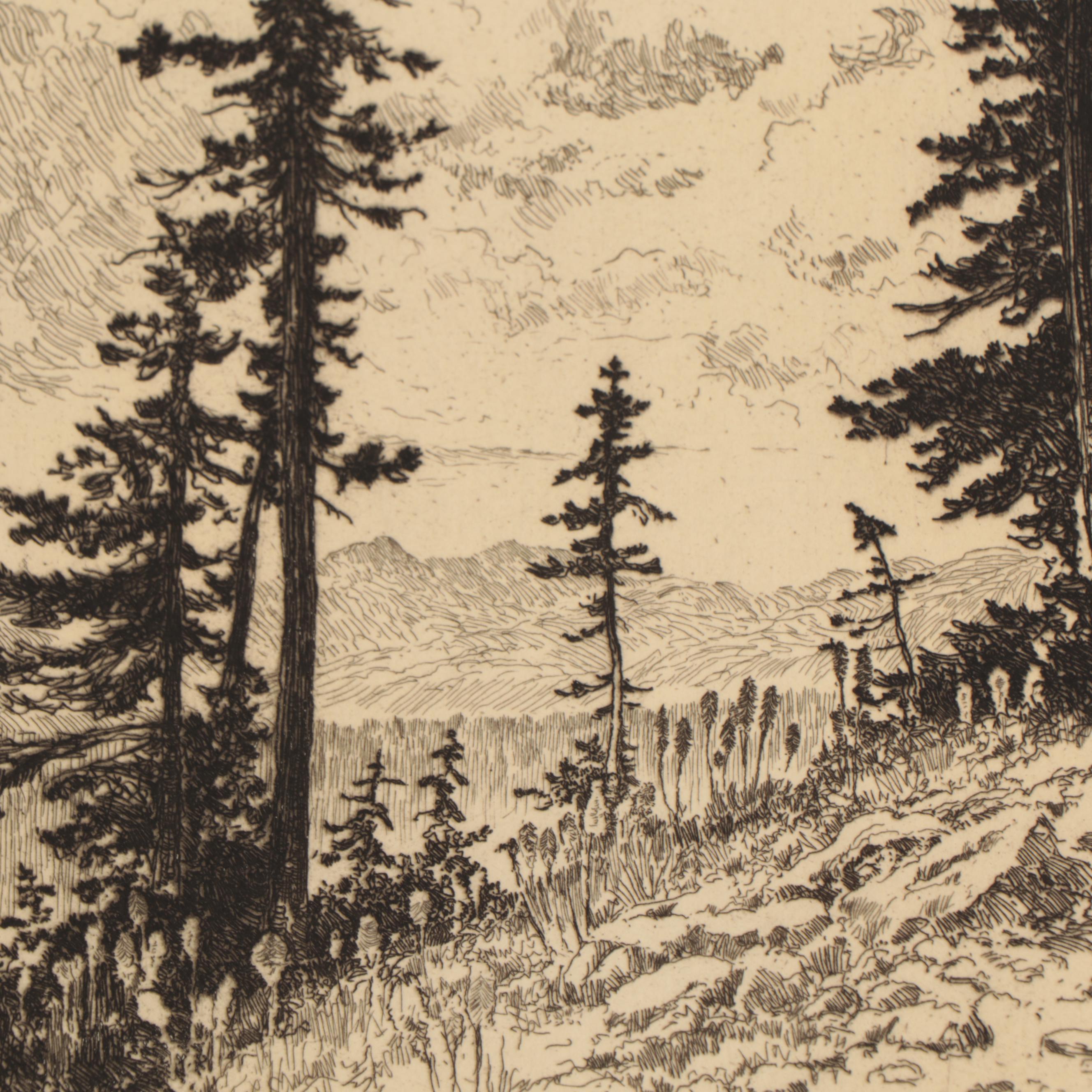 Lee Sturges Mountain Landscape Etchings, Circa 1920