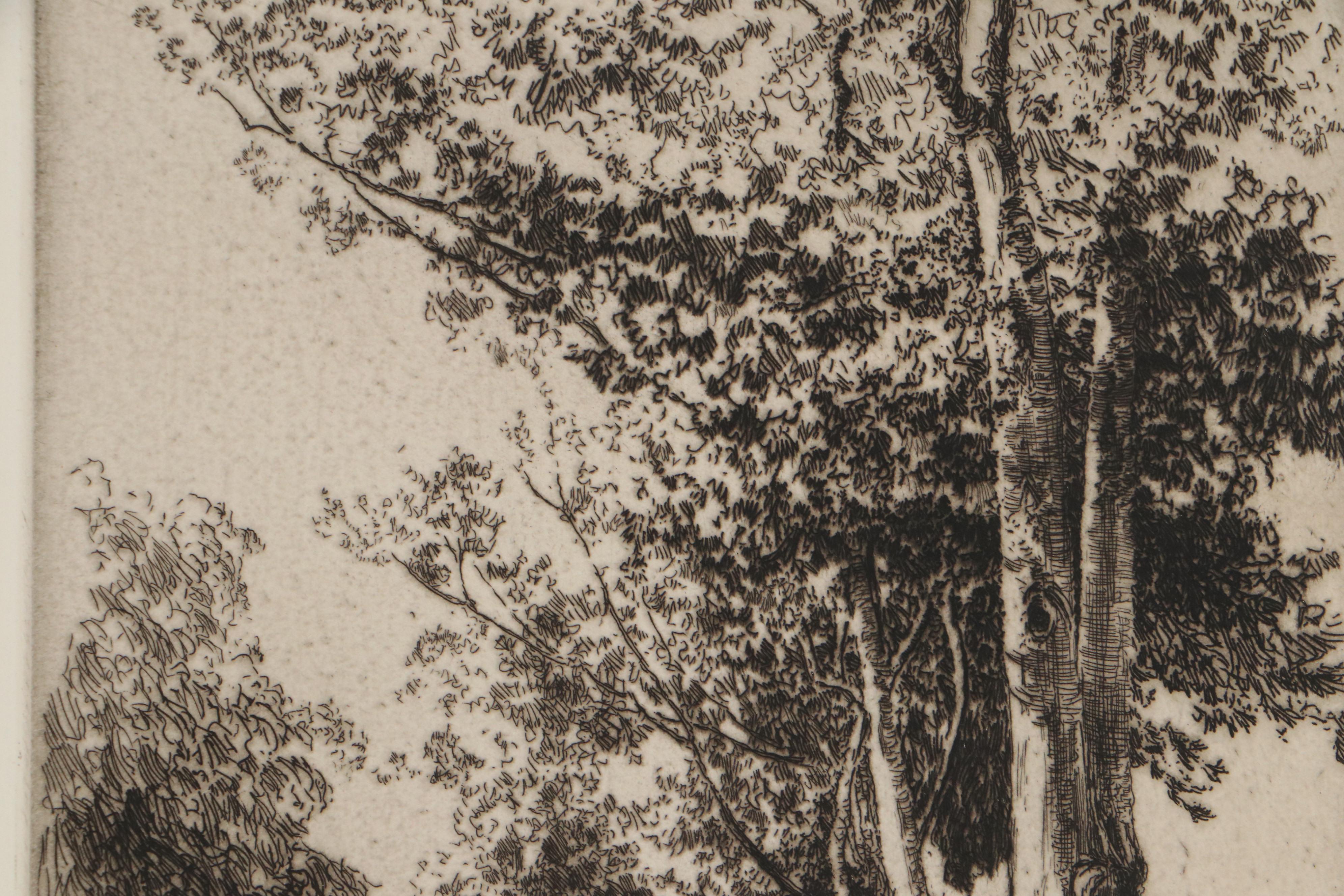 Lee Sturges Landscape Etching "Eucalyptus Trees, California," 1921