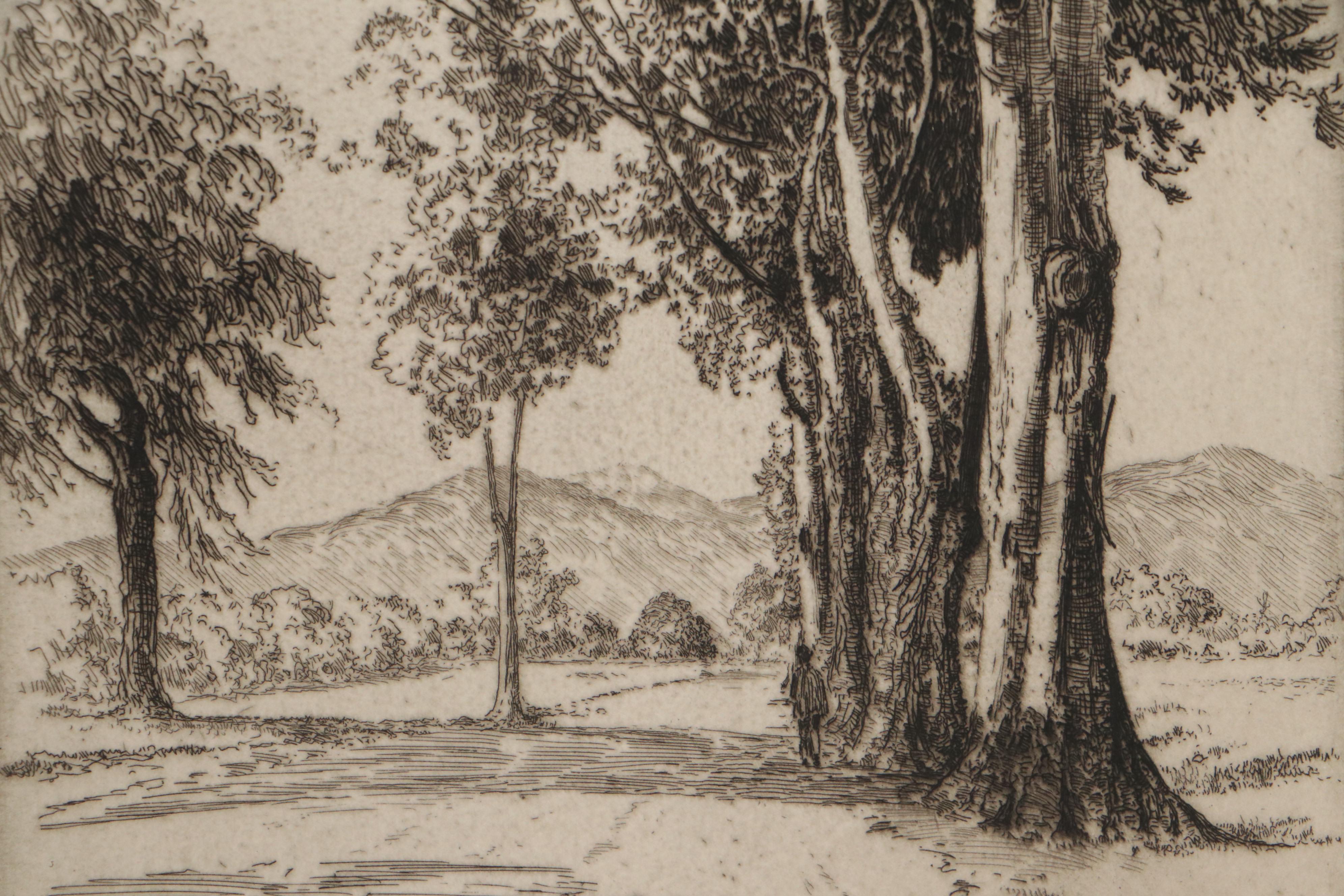 Lee Sturges Landscape Etching "Eucalyptus Trees, California," 1921
