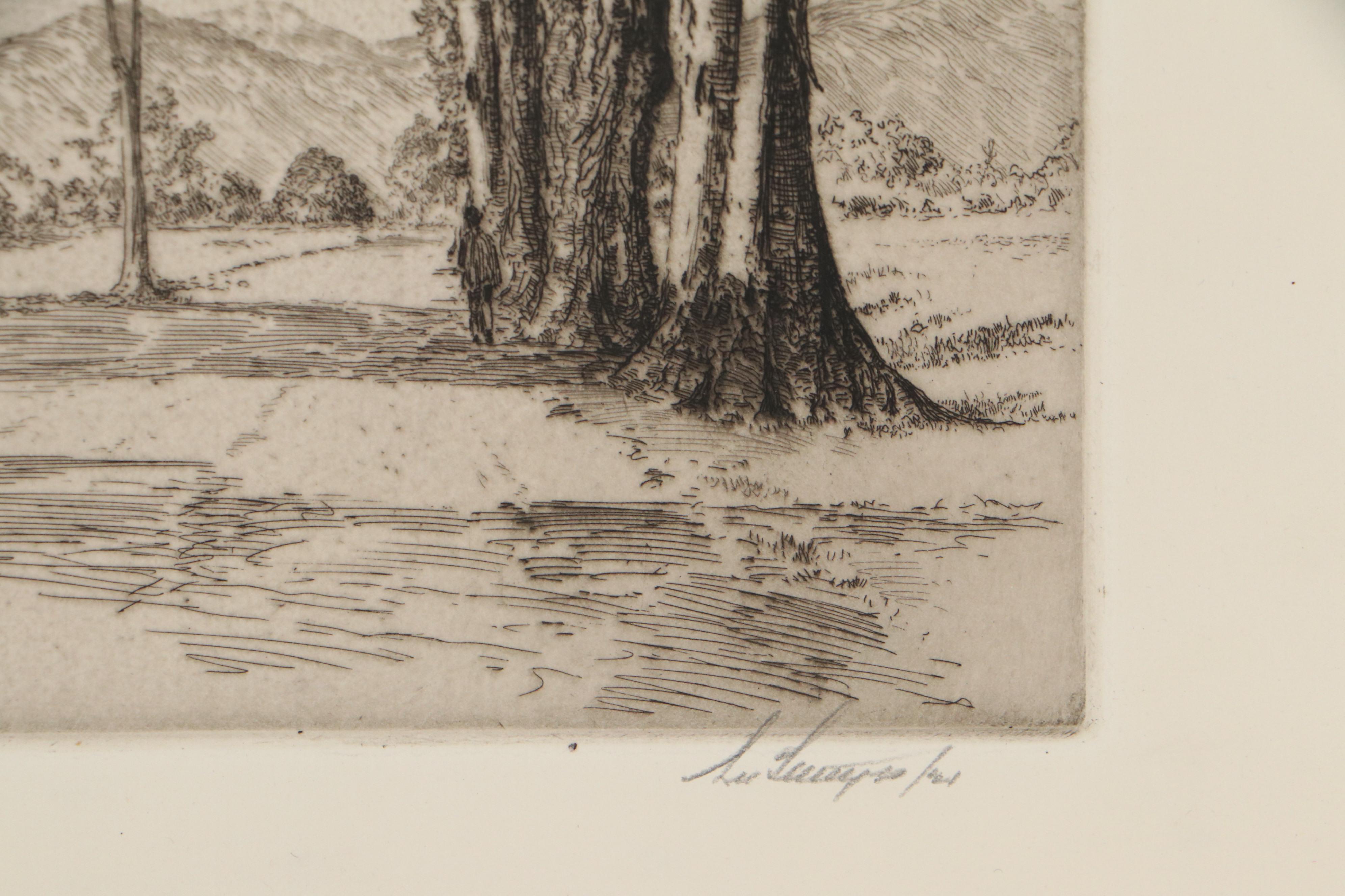 Lee Sturges Landscape Etching "Eucalyptus Trees, California," 1921
