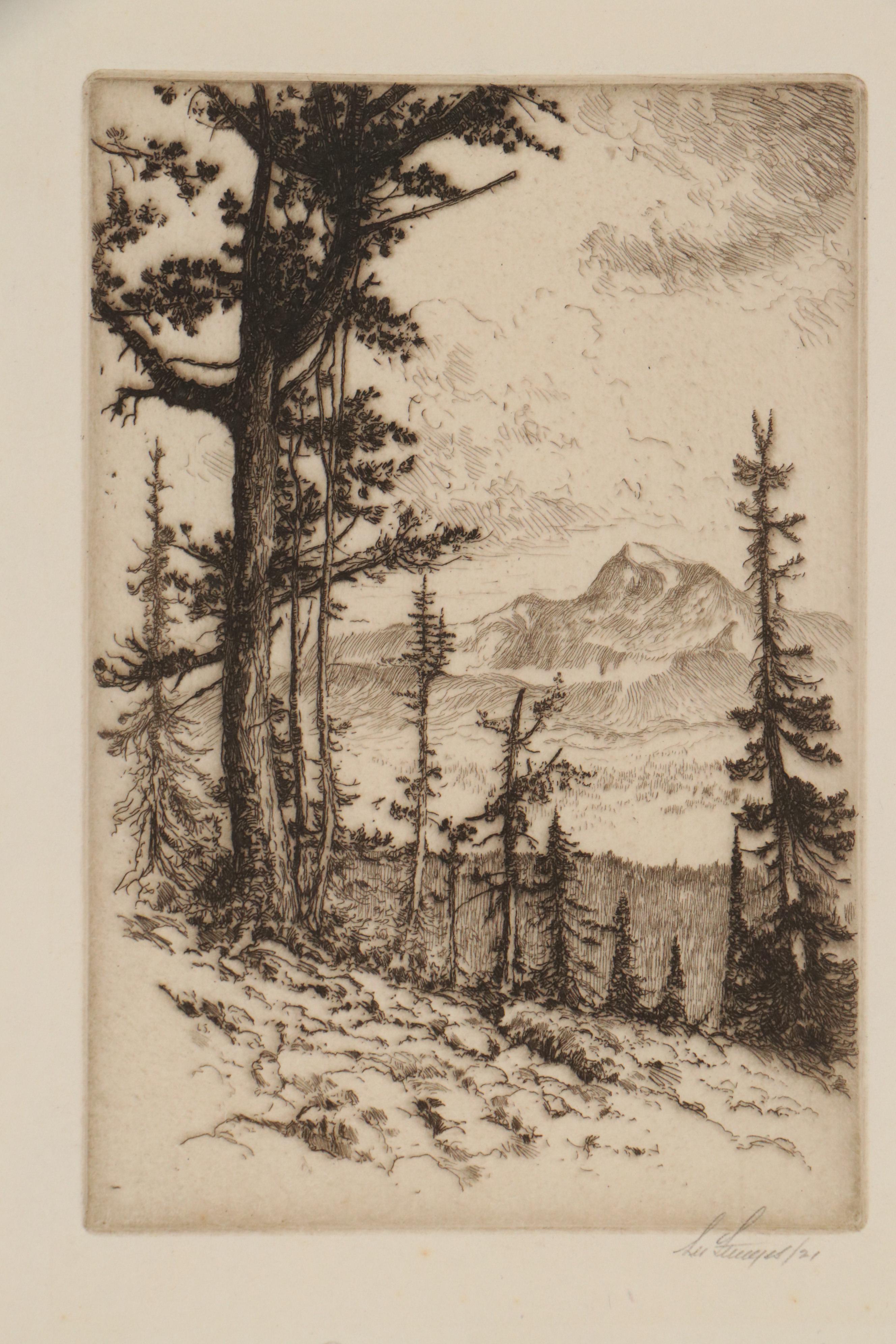 Lee Sturges Forest and Mountain Landscape Etchings, Circa 1925