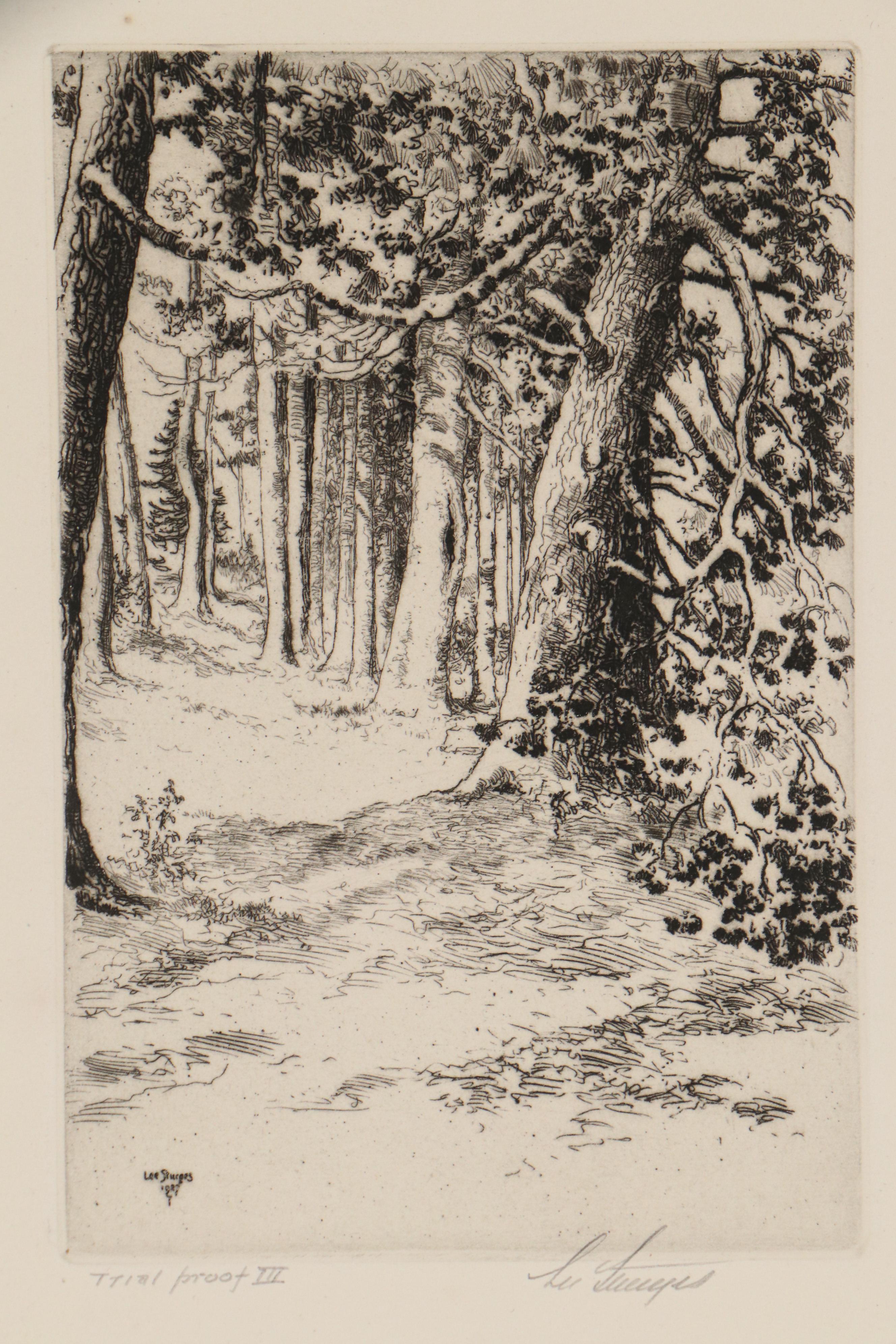 Lee Sturges Forest and Mountain Landscape Etchings, Circa 1925