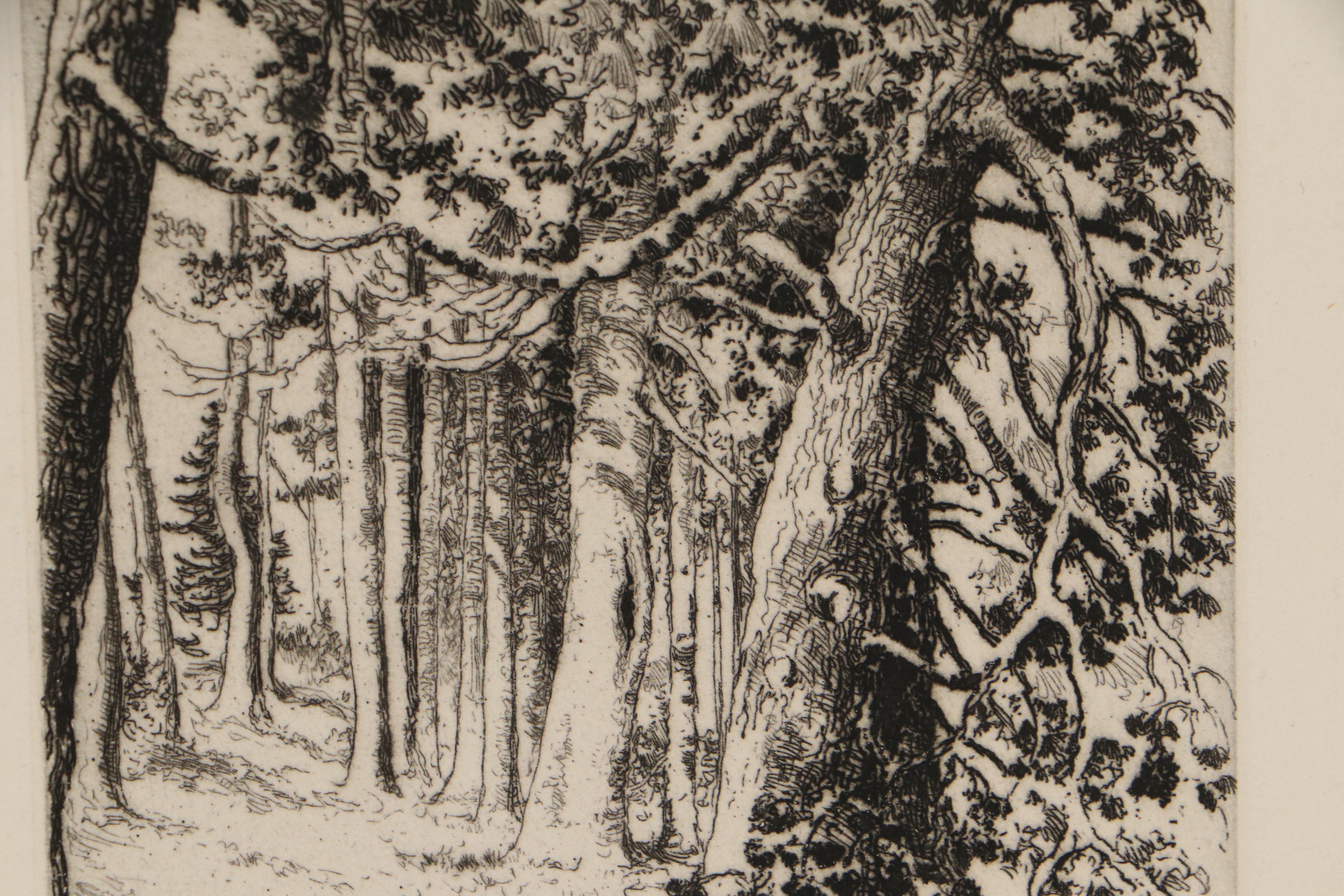Lee Sturges Forest and Mountain Landscape Etchings, Circa 1925