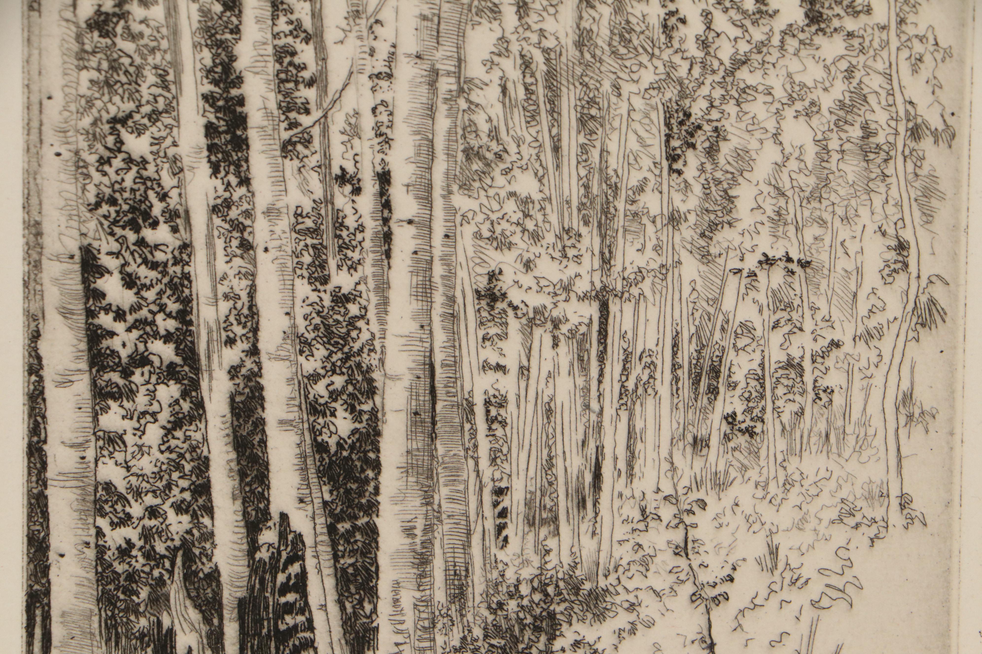 Lee Sturges Forest and Mountain Landscape Etchings, Circa 1925