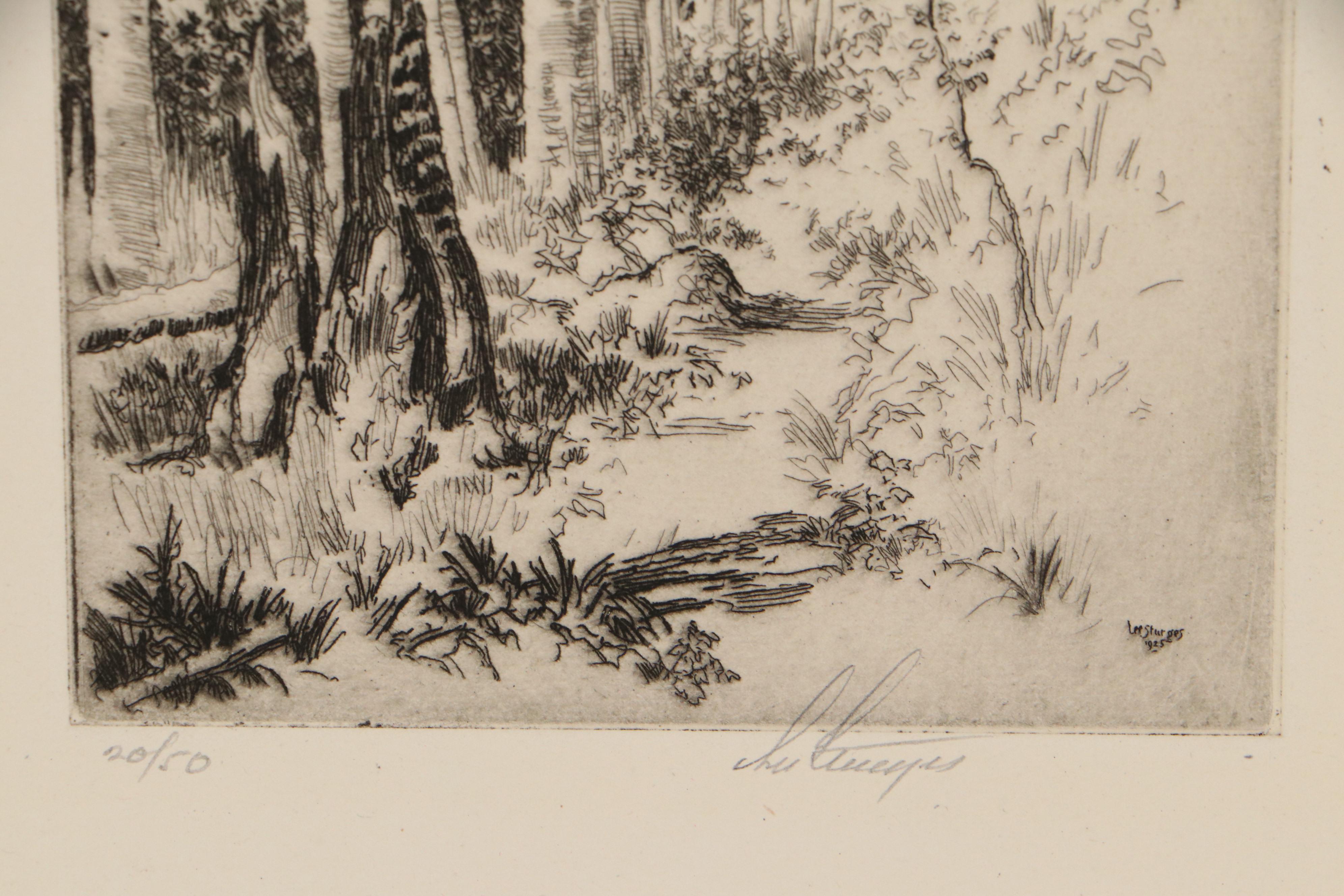 Lee Sturges Forest and Mountain Landscape Etchings, Circa 1925