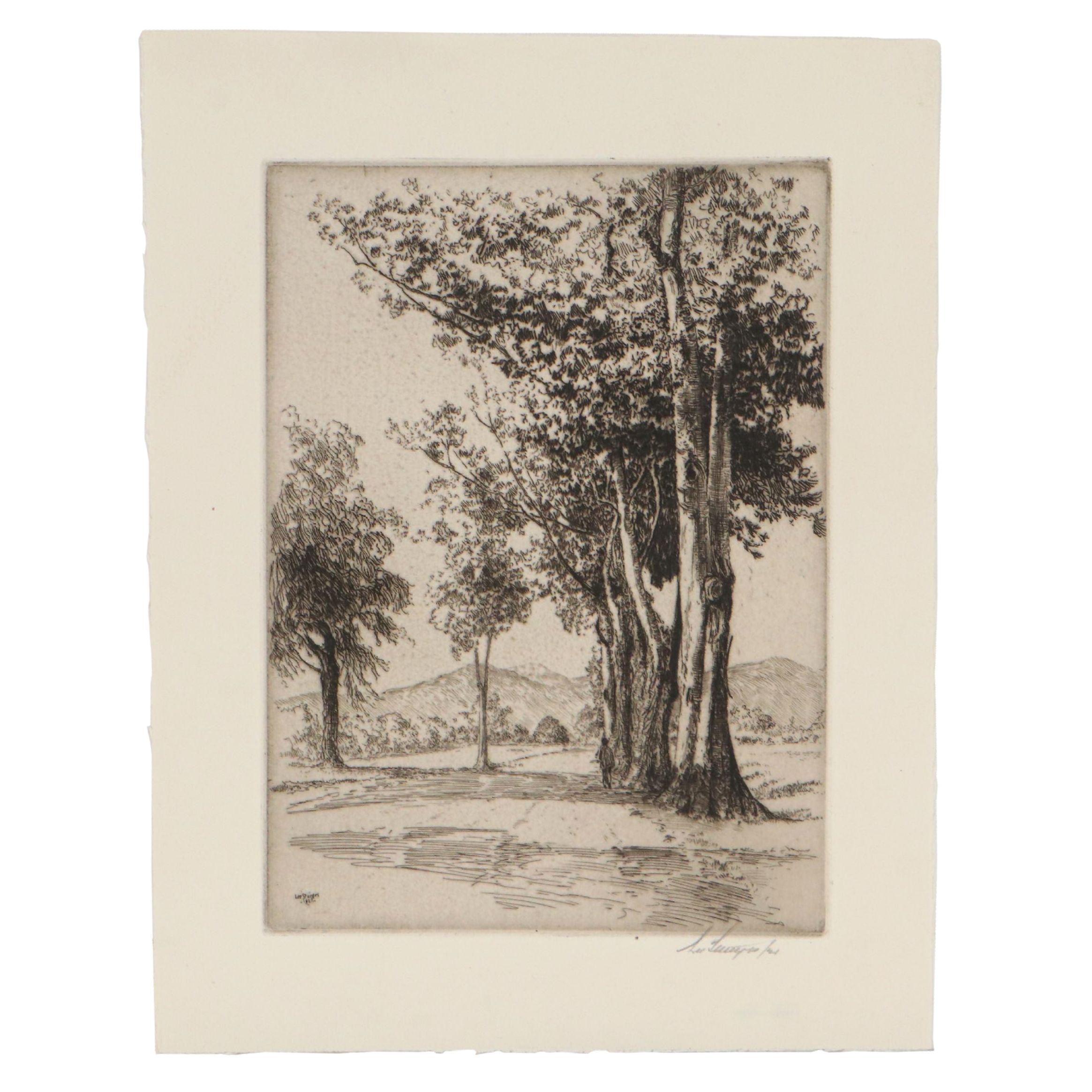 Lee Sturges Landscape Etching "Eucalyptus Trees, California," 1921