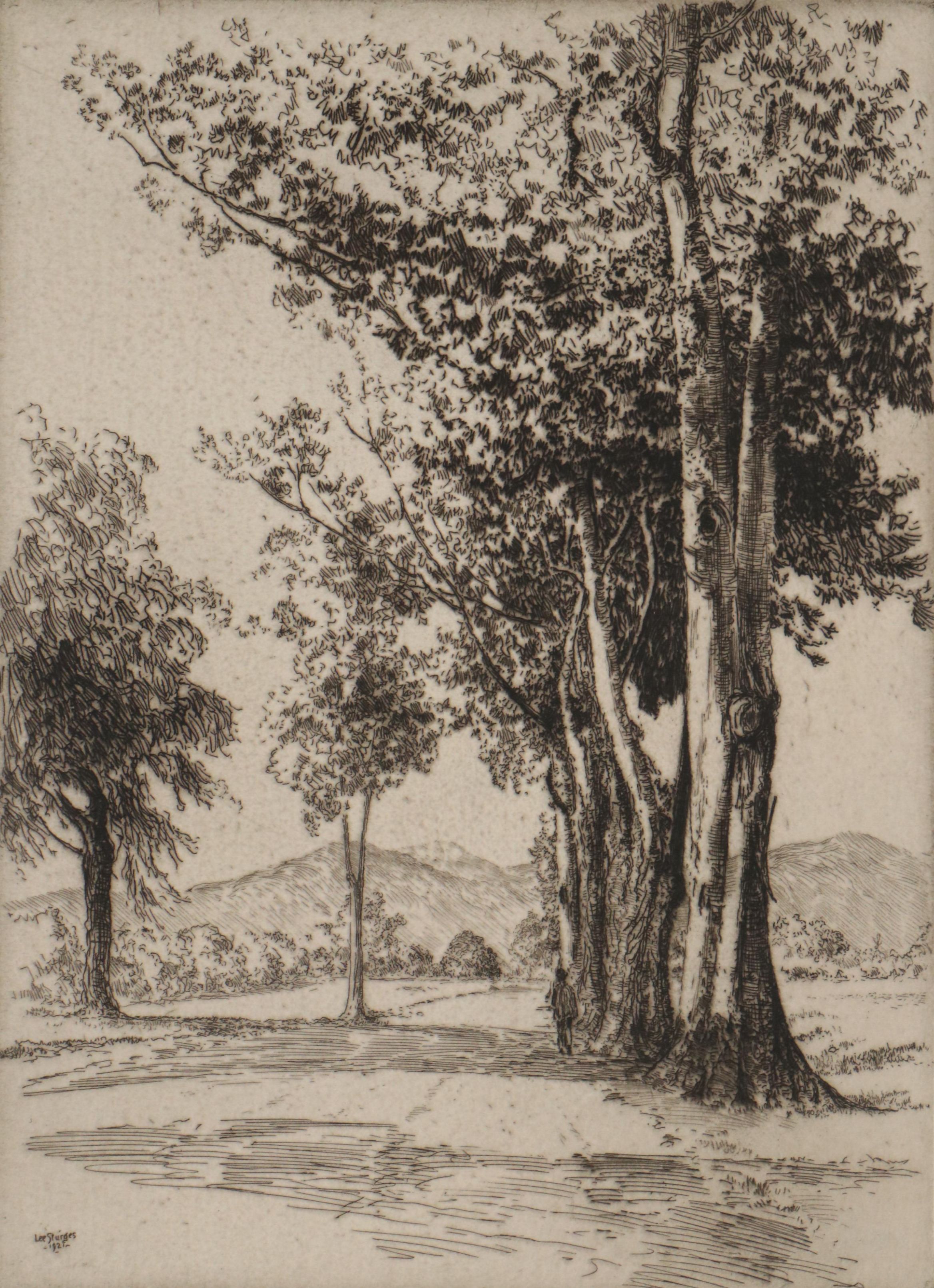 Lee Sturges Landscape Etching "Eucalyptus Trees, California," 1921