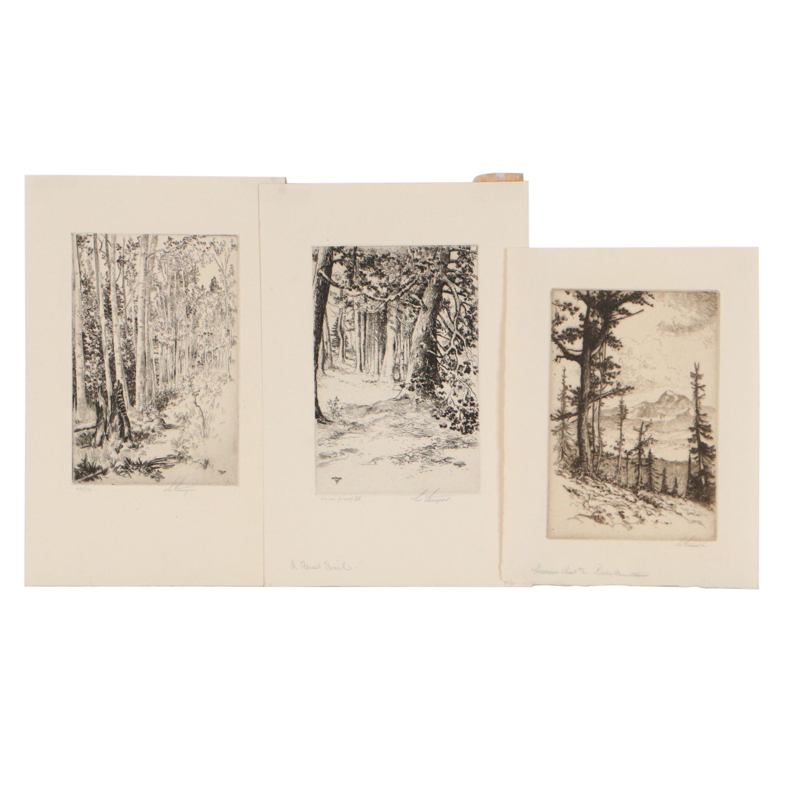 Lee Sturges Forest and Mountain Landscape Etchings, Circa 1925