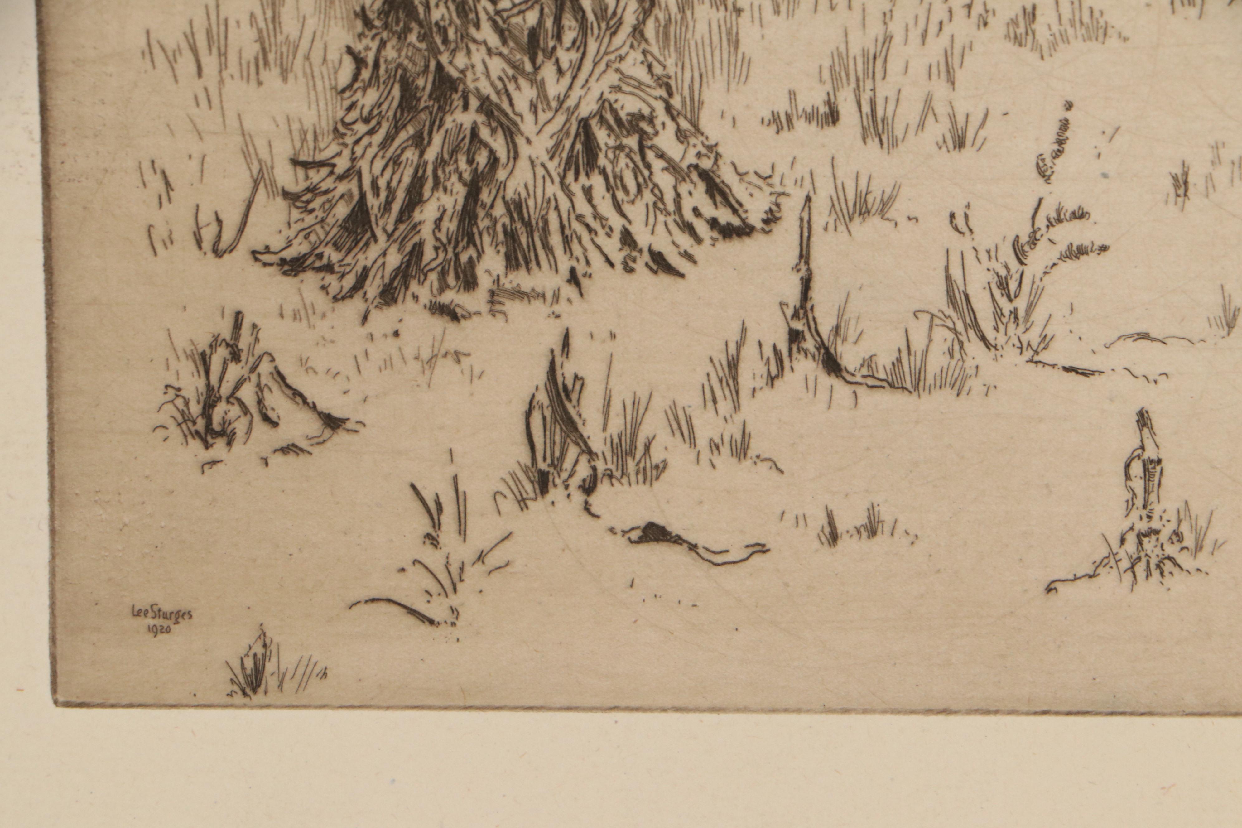 Lee Sturges Etching Including "Willows at Taos," Circa 1930