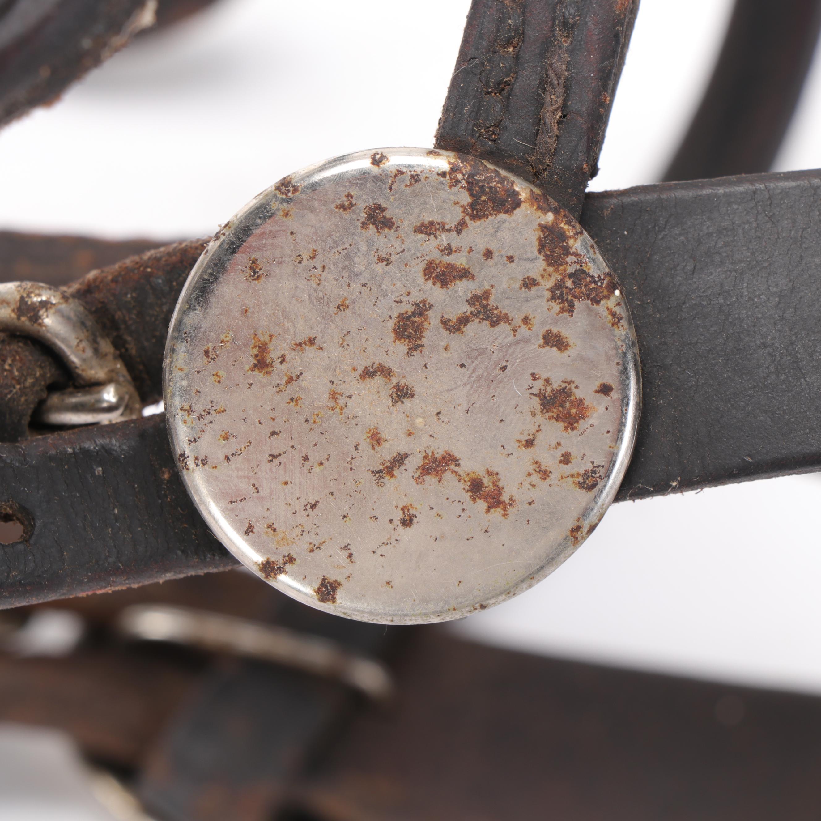 Leather Equestrian Harness Driving Bridles and Bits