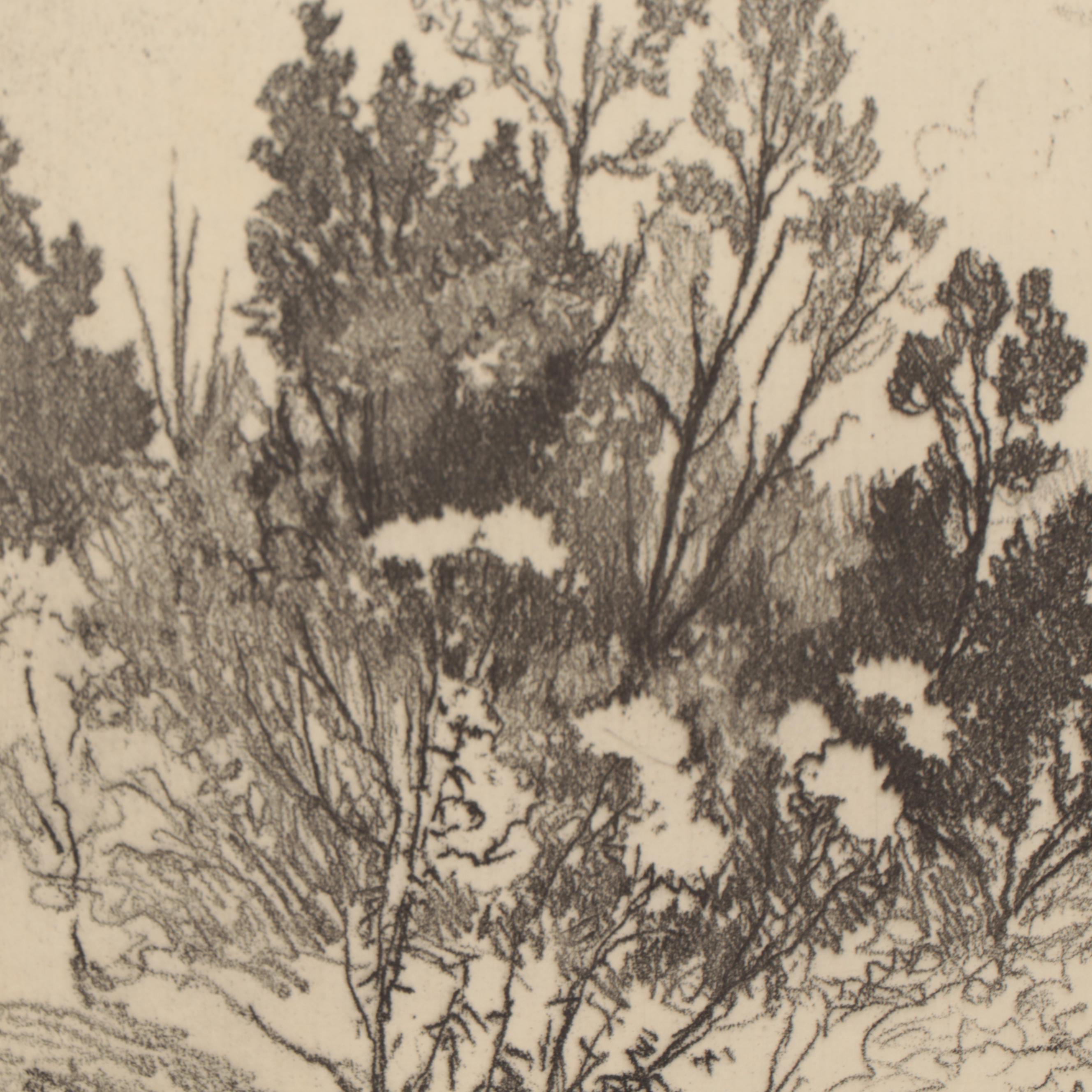 Lee Sturges Forest Landscape and Waterscape Etchings, Circa 1920