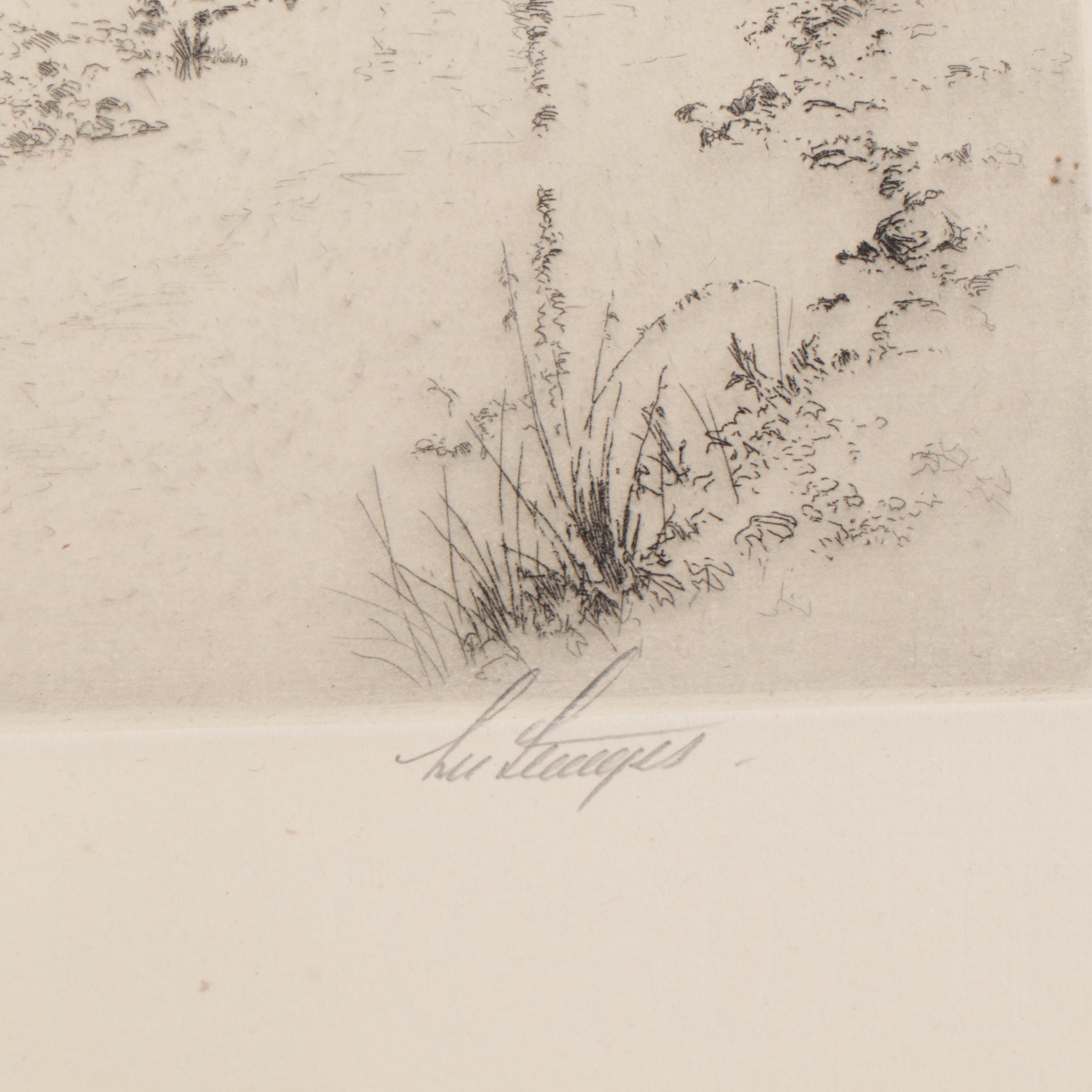 Lee Sturges Forest Landscape and Waterscape Etchings, Circa 1920