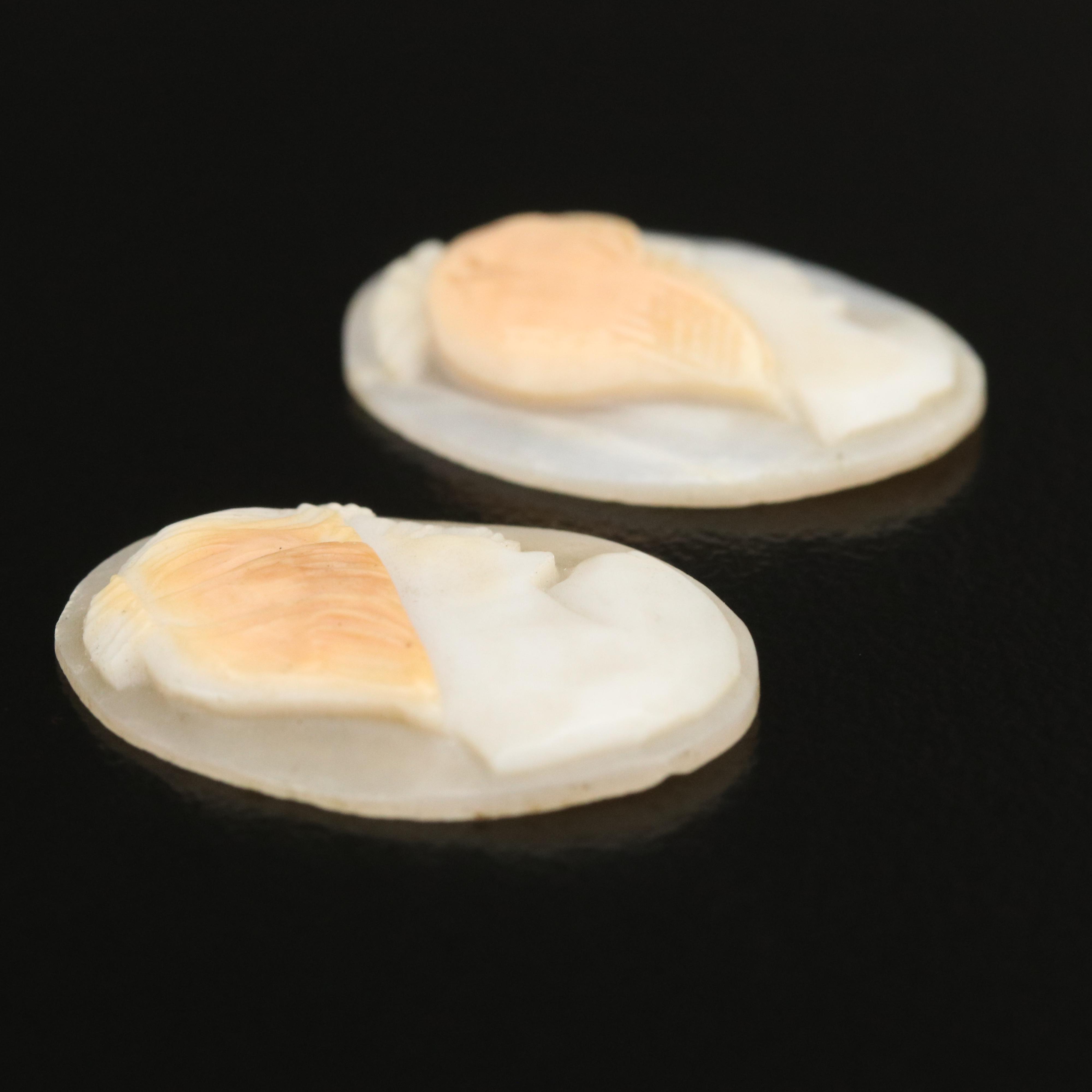 Loose Oval Shell Cameos