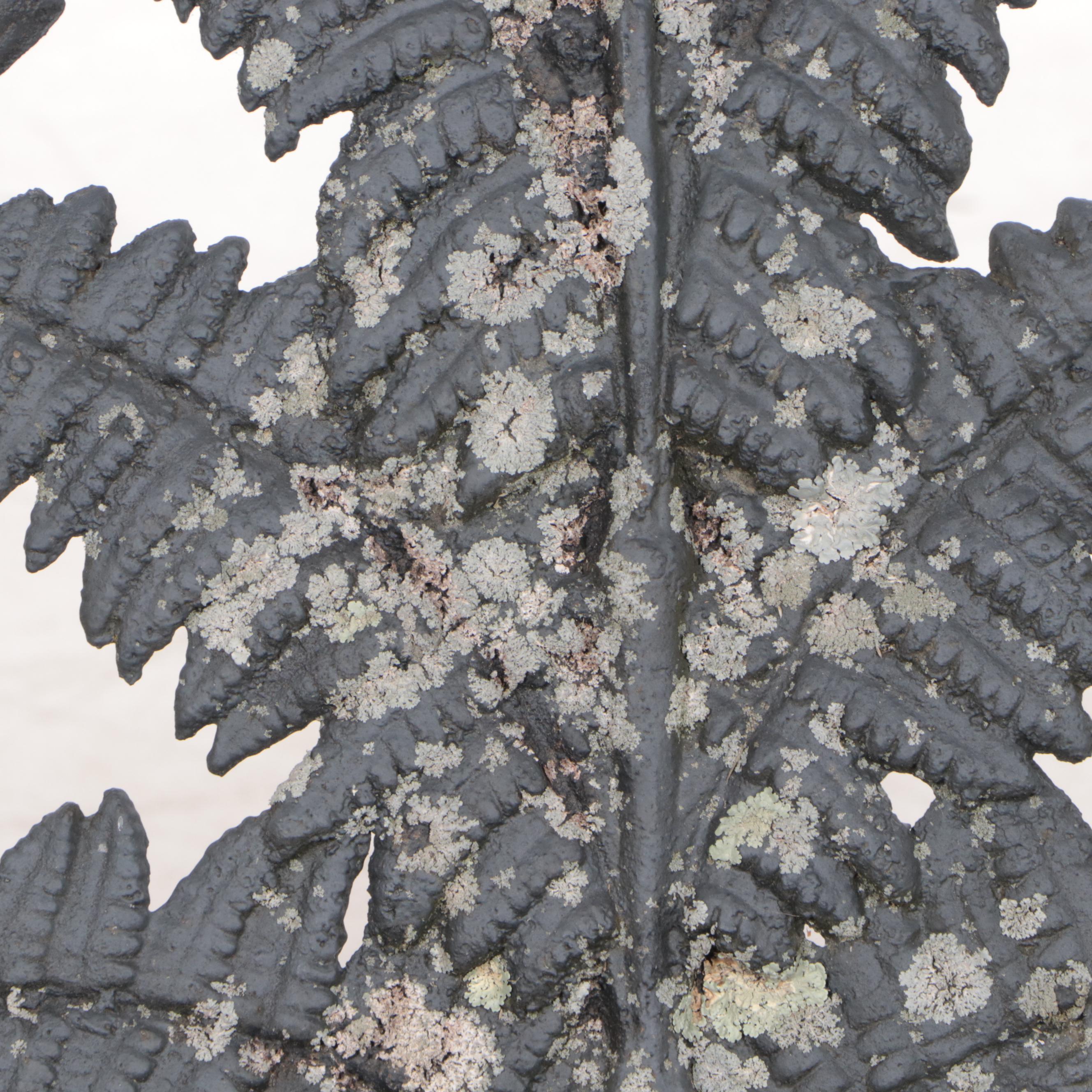 Pair of Victorian Cast Iron Fern Leaf Garden Benches After Coalbrookdale