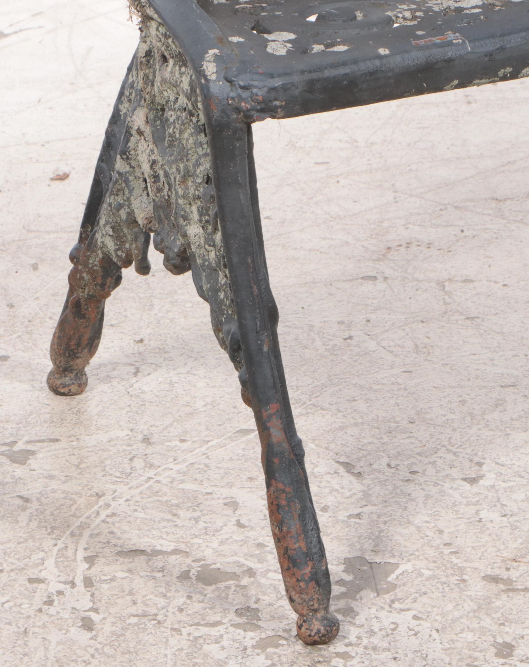 Pair of Victorian Cast Iron Fern Leaf Garden Benches After Coalbrookdale