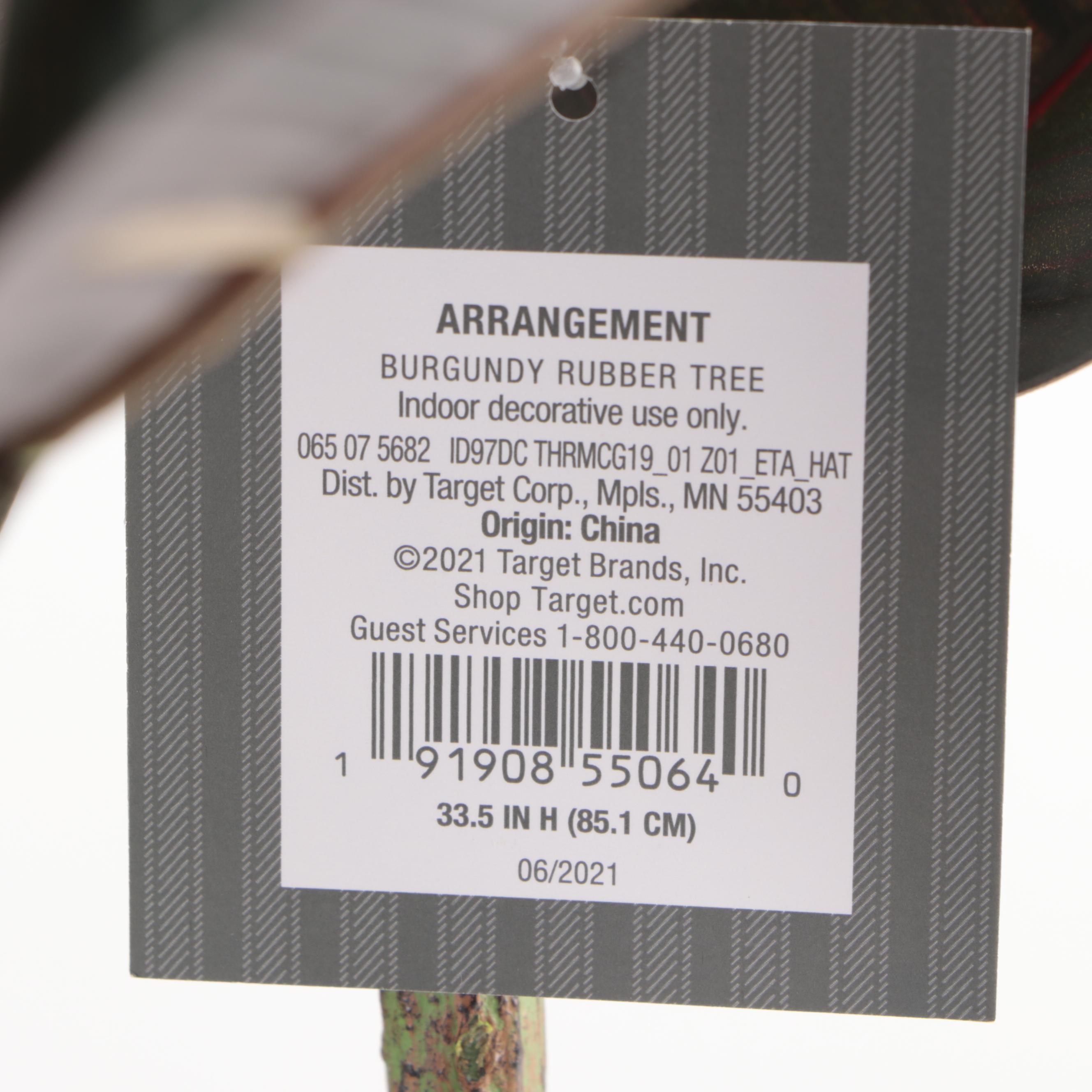 Two Threshold with Studio McGee Artificial Burgundy Rubber Trees in Ceramic Pots