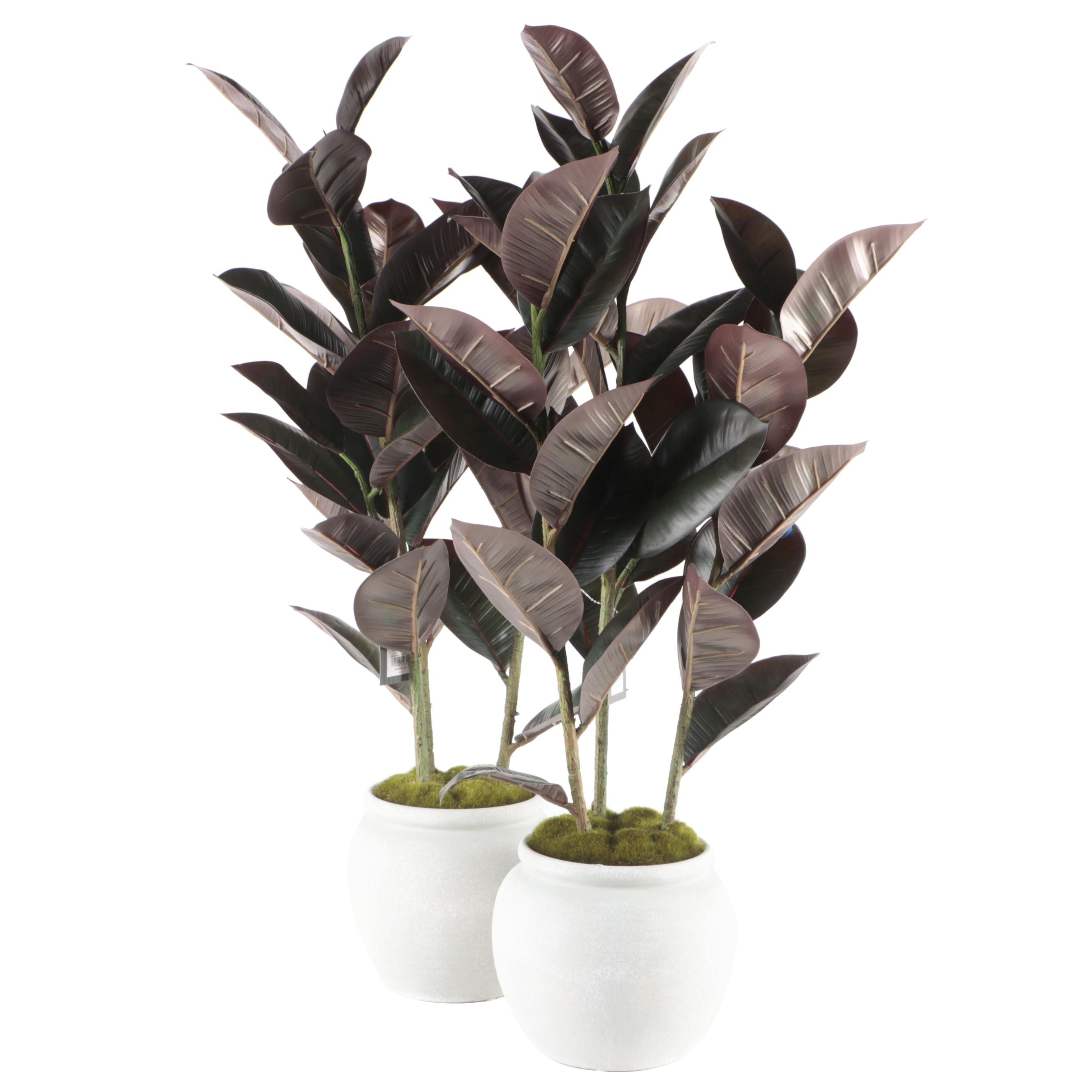 Two Threshold with Studio McGee Artificial Burgundy Rubber Trees in Ceramic Pots