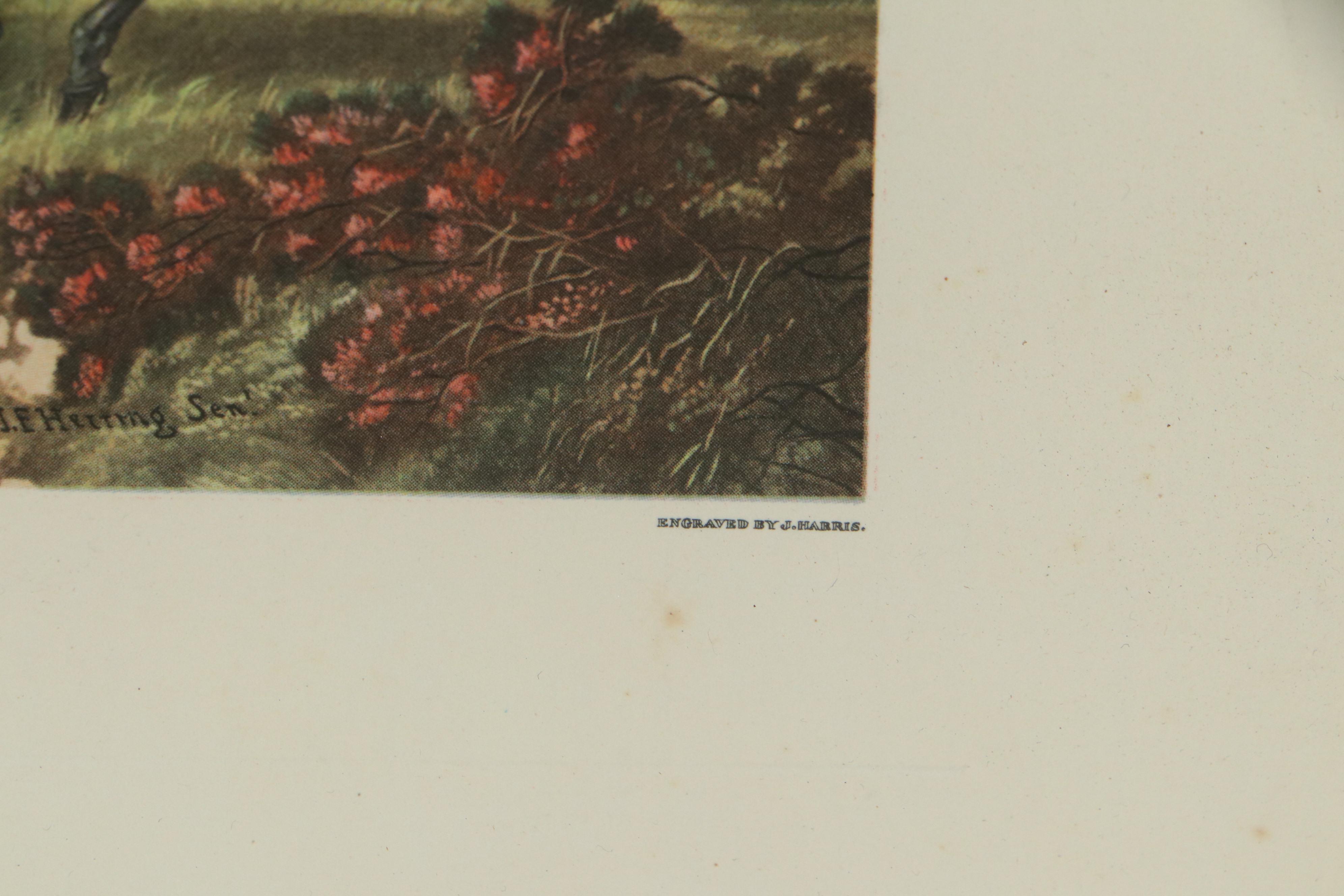 Offset Lithographs of Fox Hunting Scenes After John F. Herring