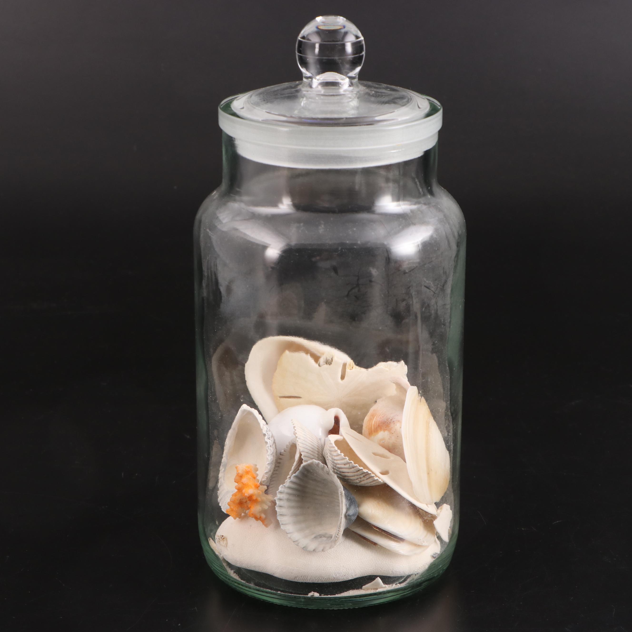 King Helmet Conch Shell Carved Cameo with Cigar and Other Jars and Decor