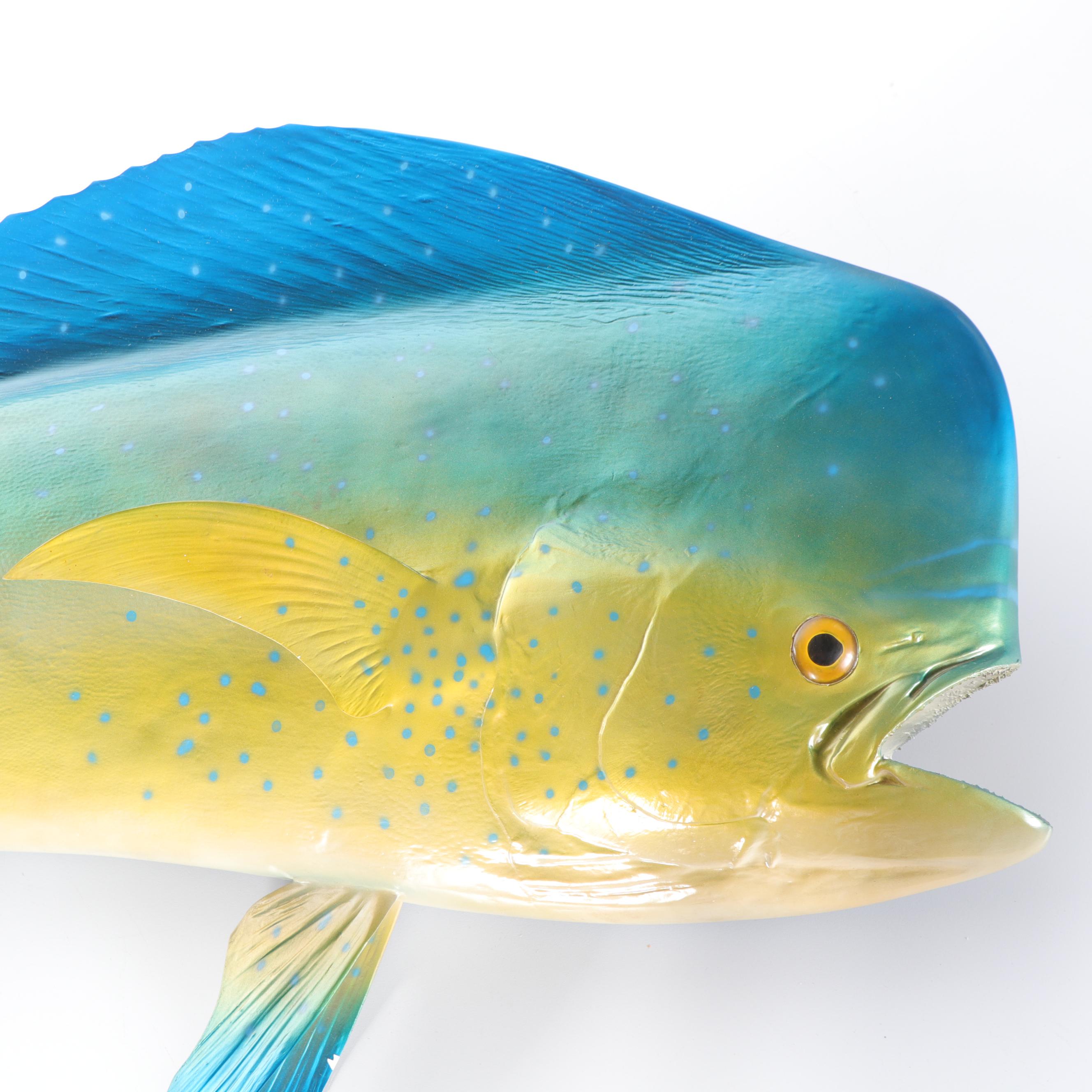 Mahi-Mahi Dolphinfish Taxidermy Mount Replica